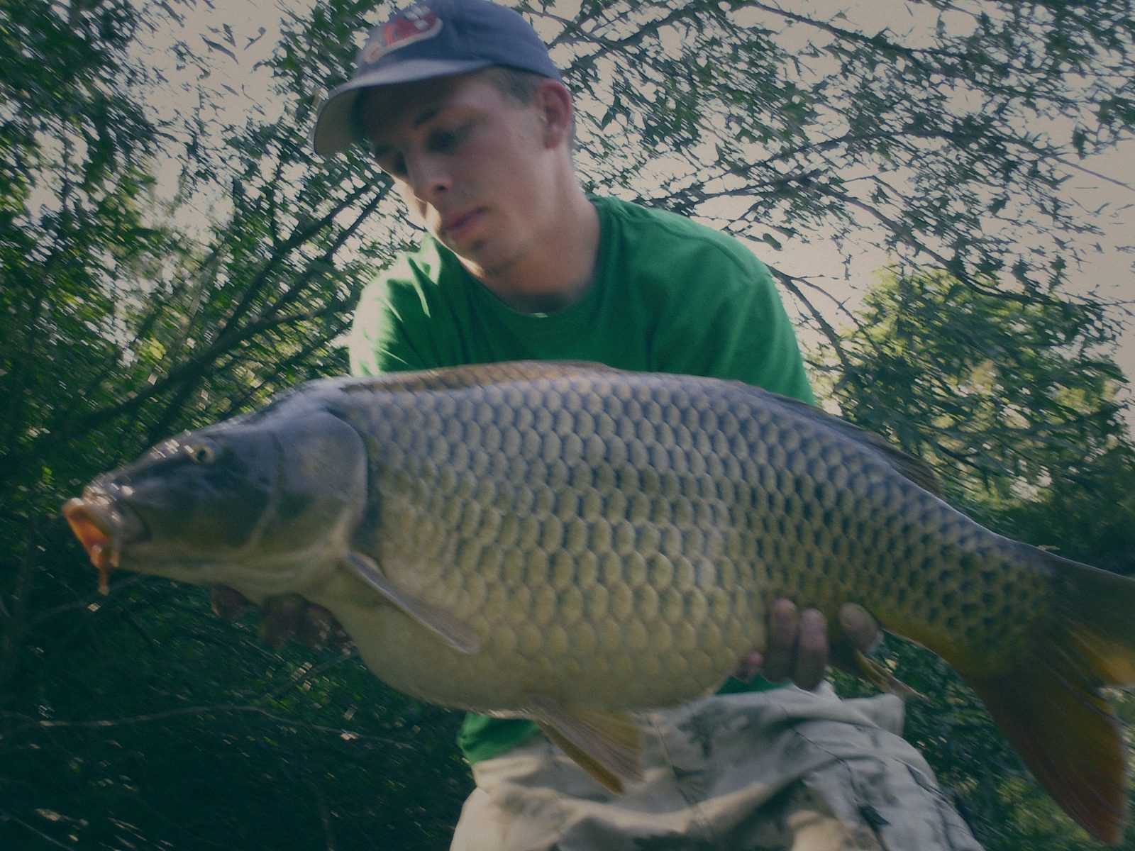 Styria Carp 2006