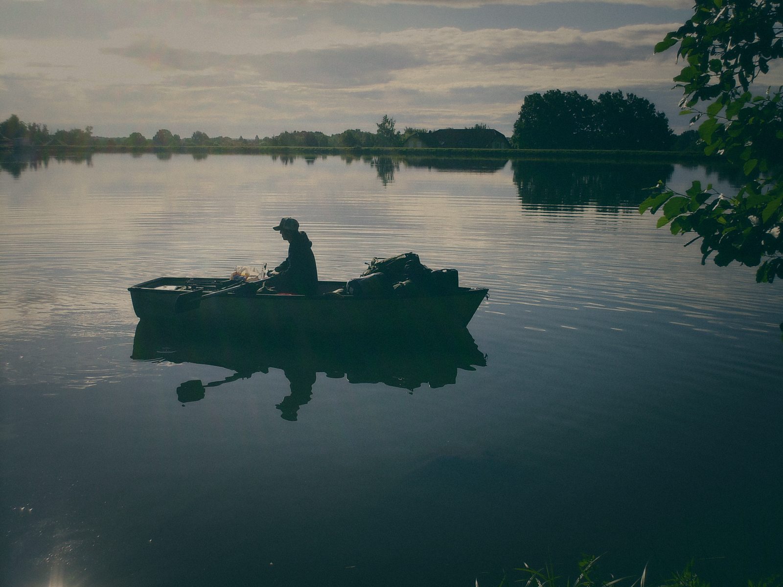 Styria Carp