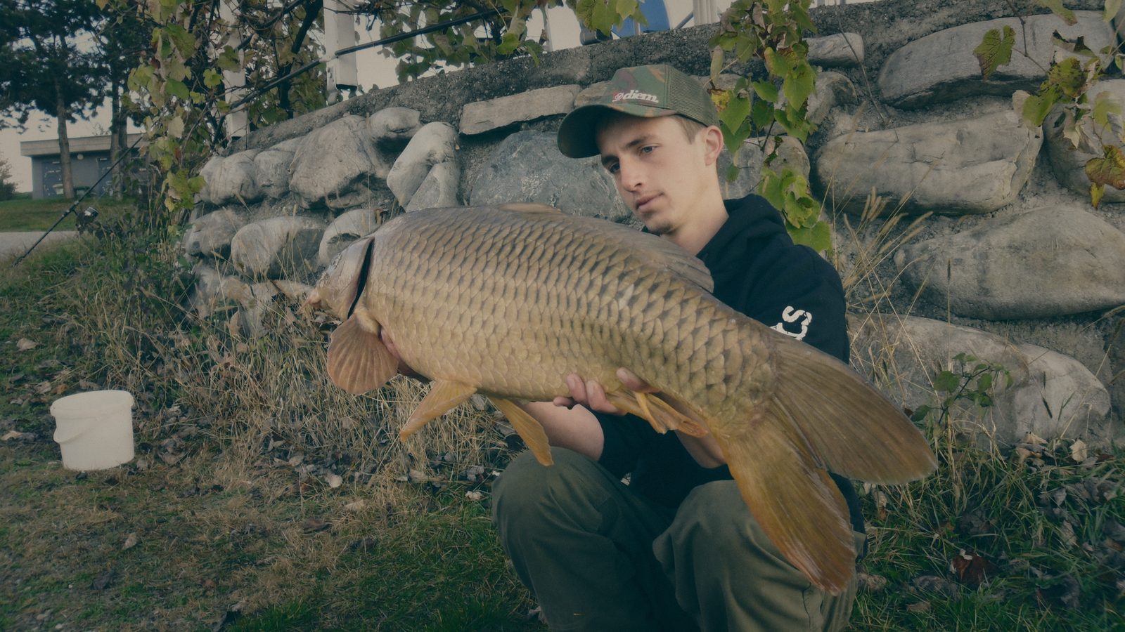 Styria Carp