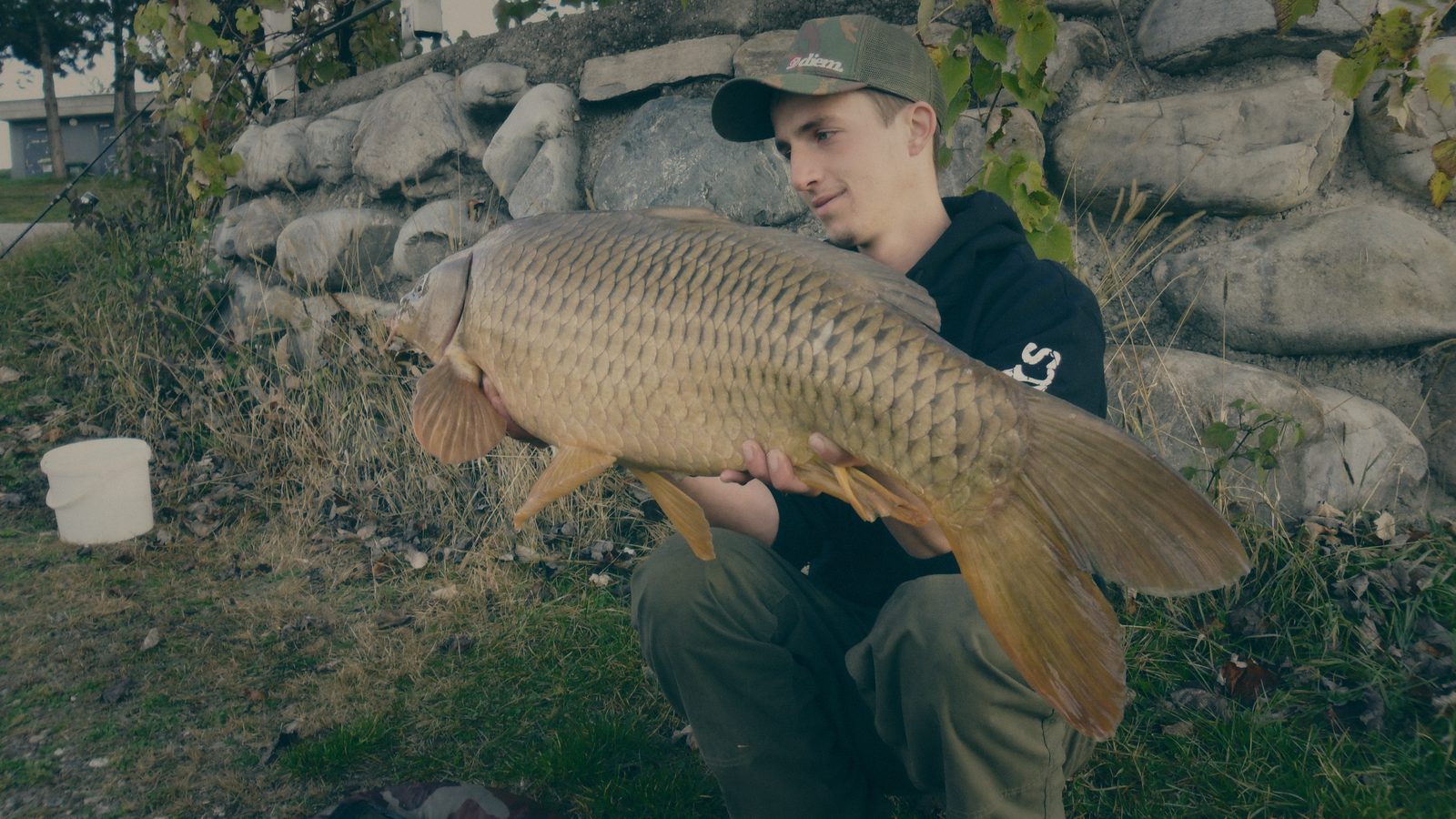 Styria Carp