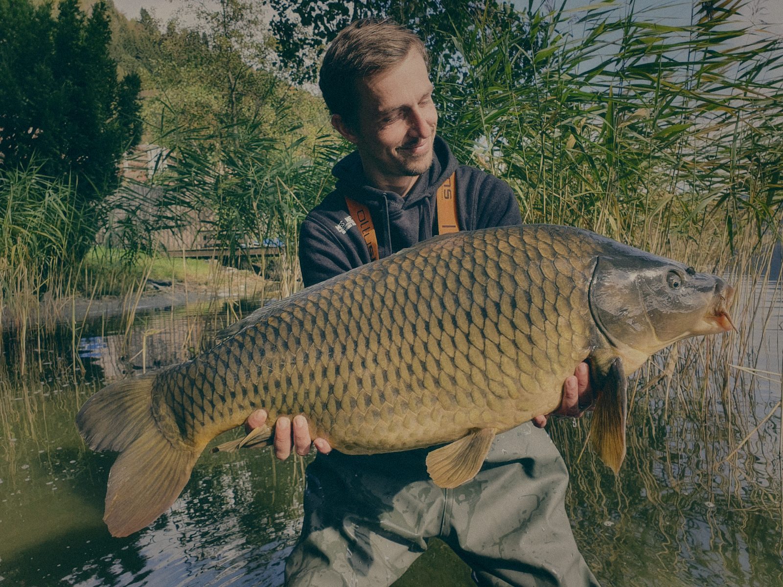 Styria Carp