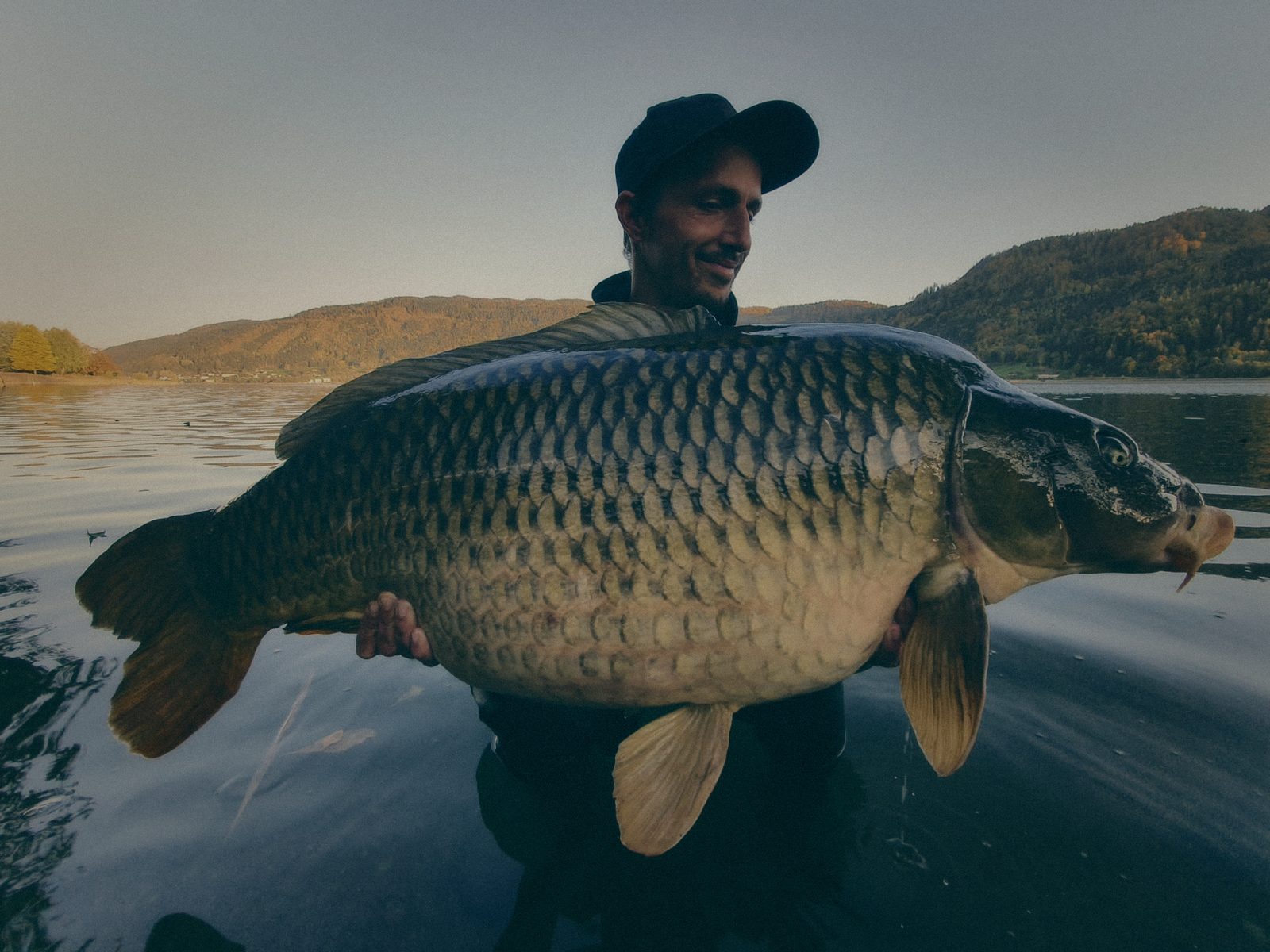 Styria Carp