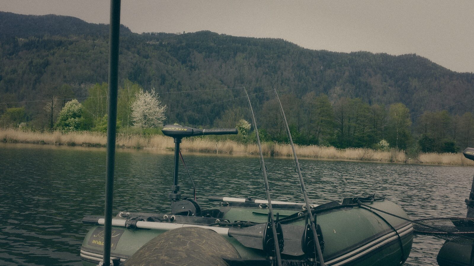 Styria Carp 2017