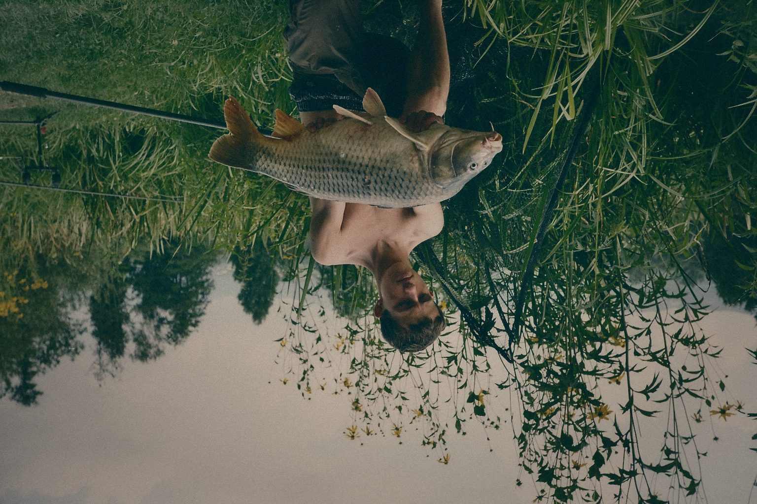 Styria Carp 2017