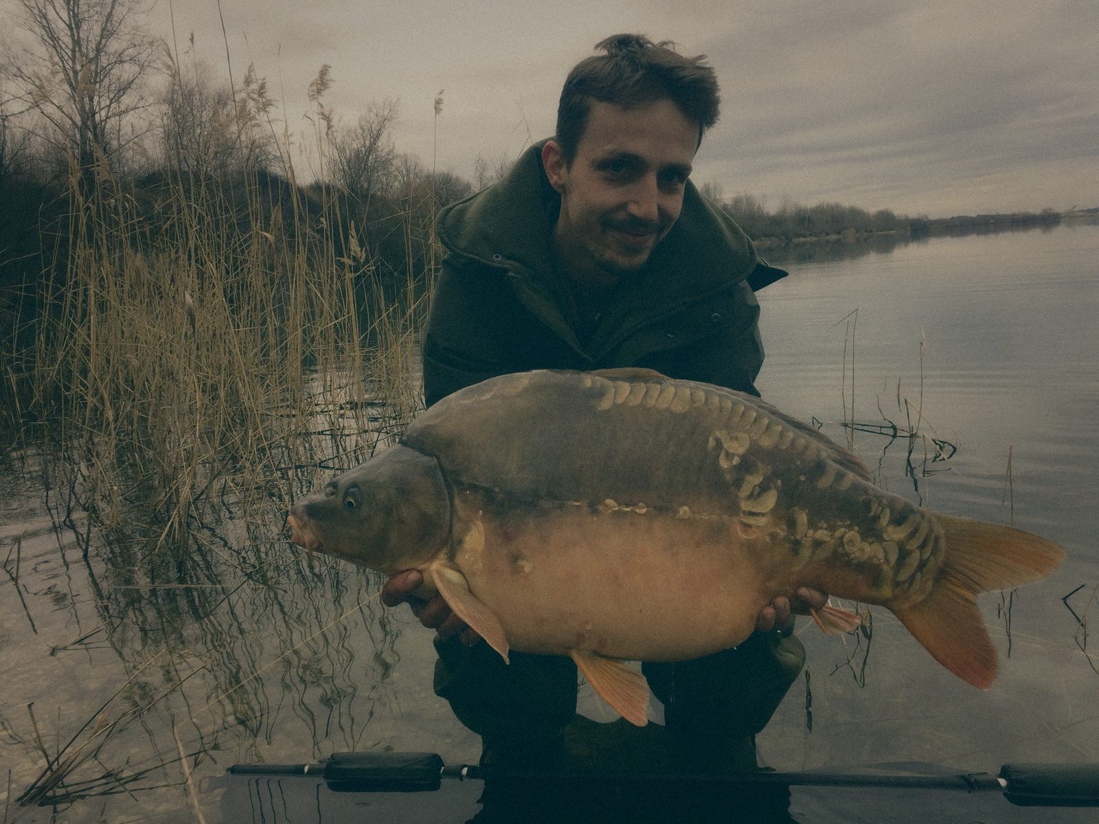 Styria Carp 2019