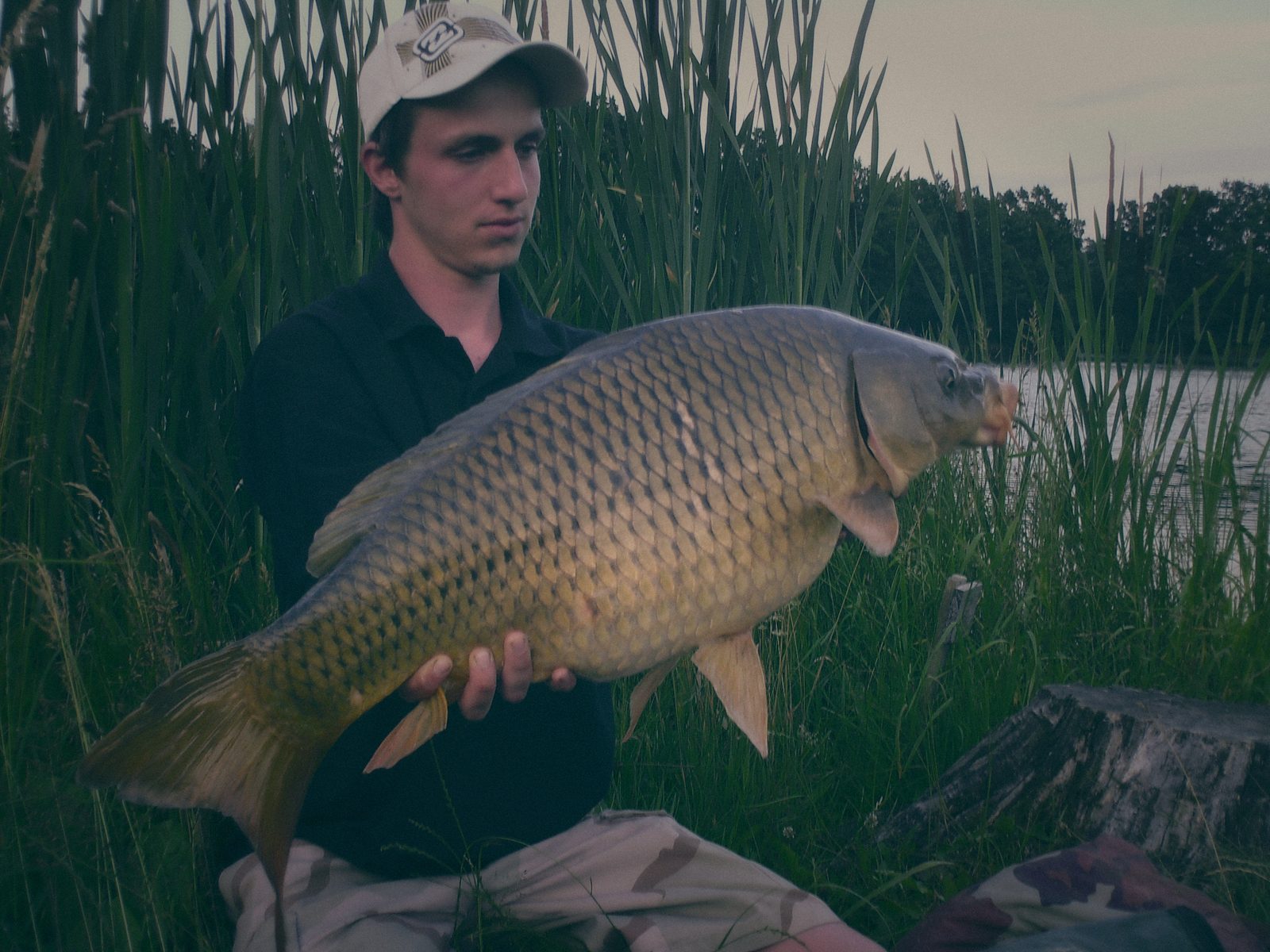 Styria Carp 2008