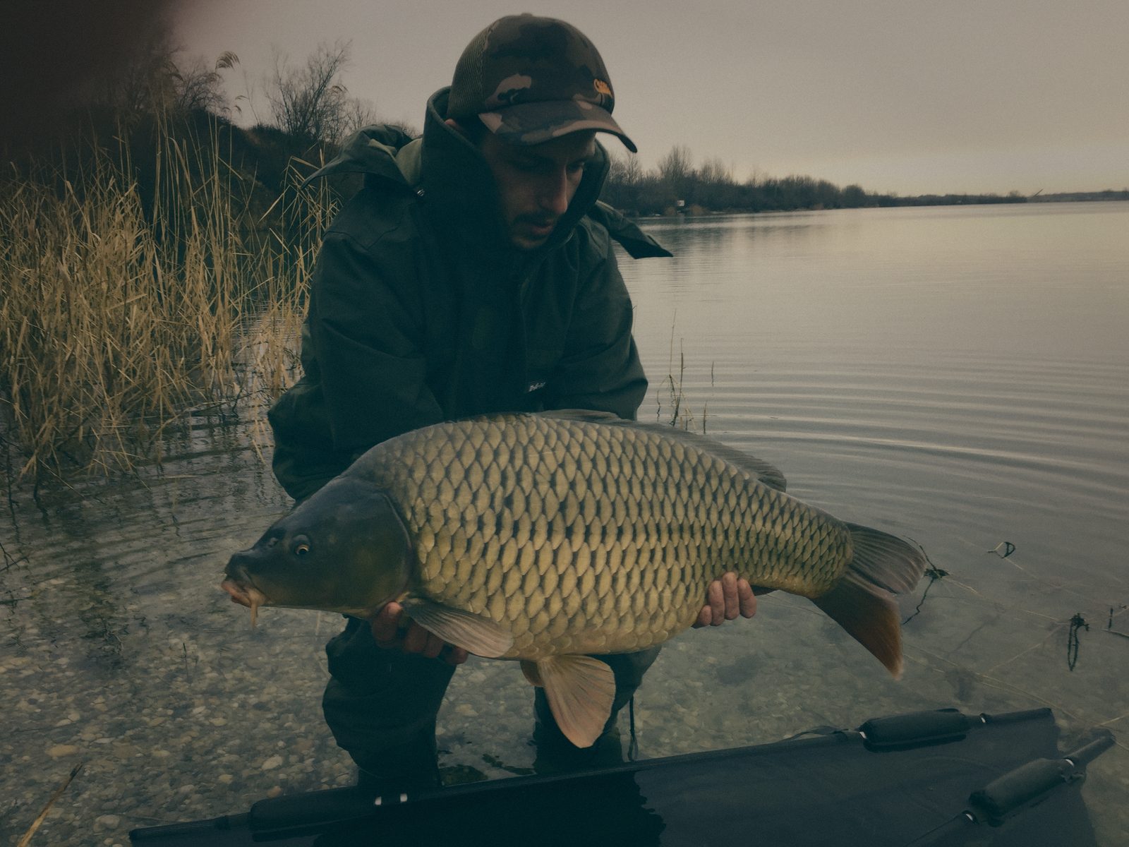 Styria Carp 2019