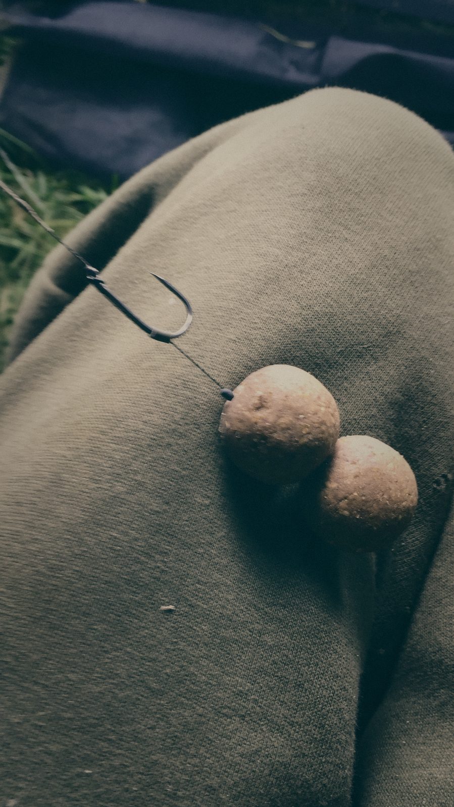 Styria Carp 2019