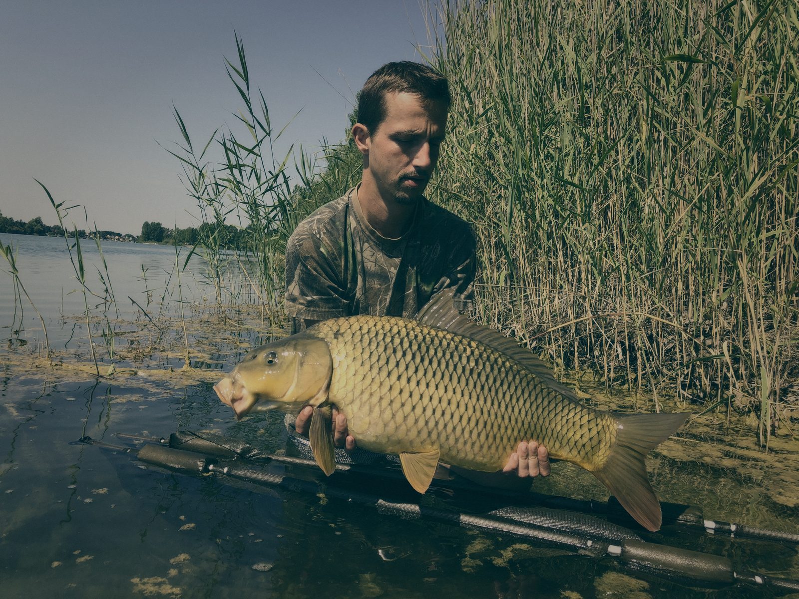 Styria Carp 2019