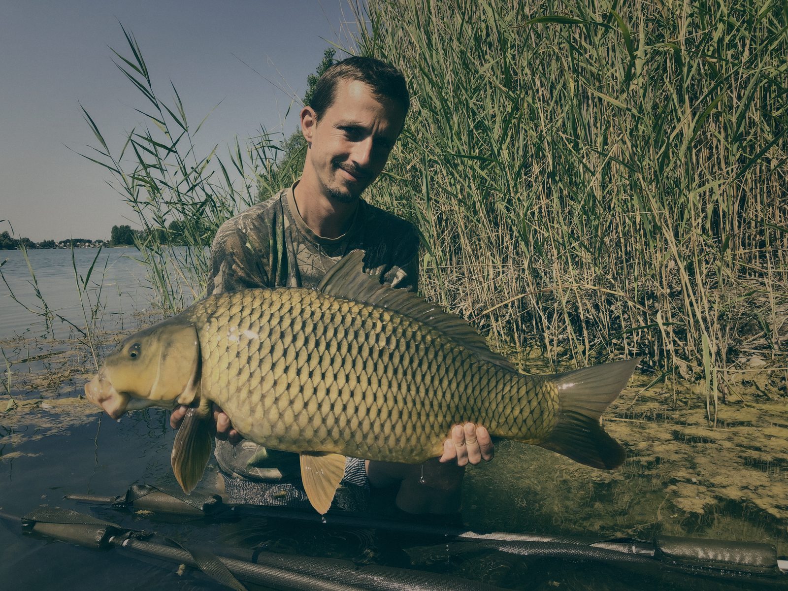 Styria Carp 2019