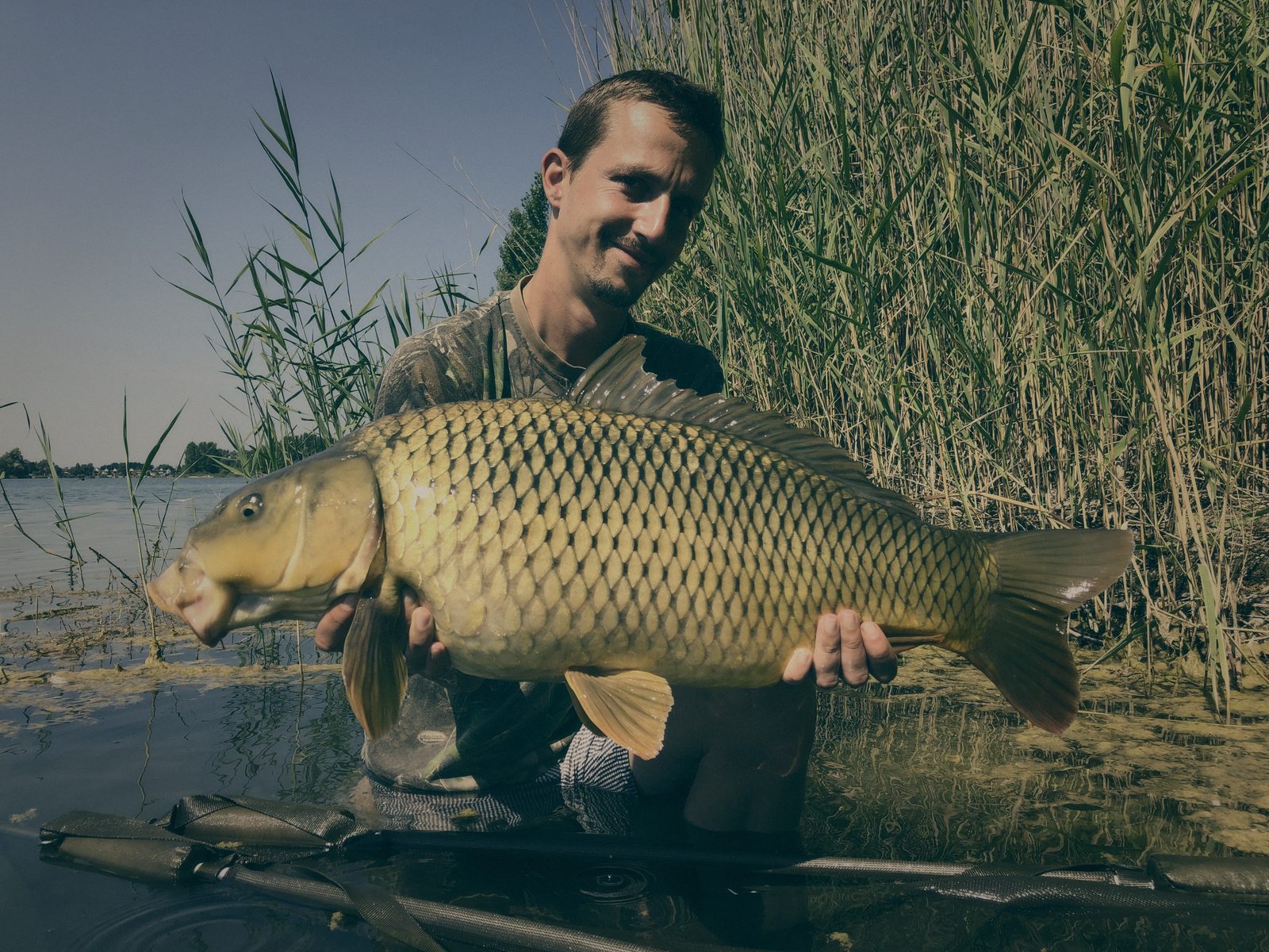 Styria Carp 2020