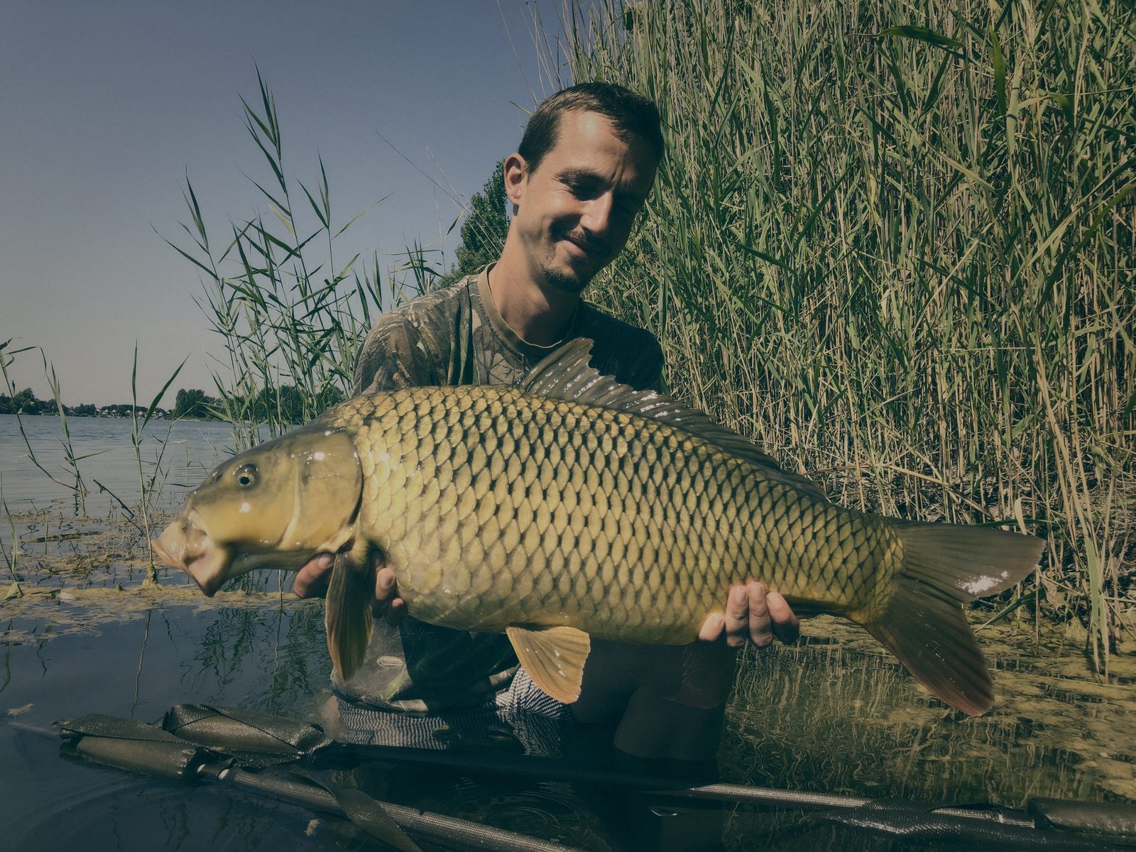 Styria Carp 2020