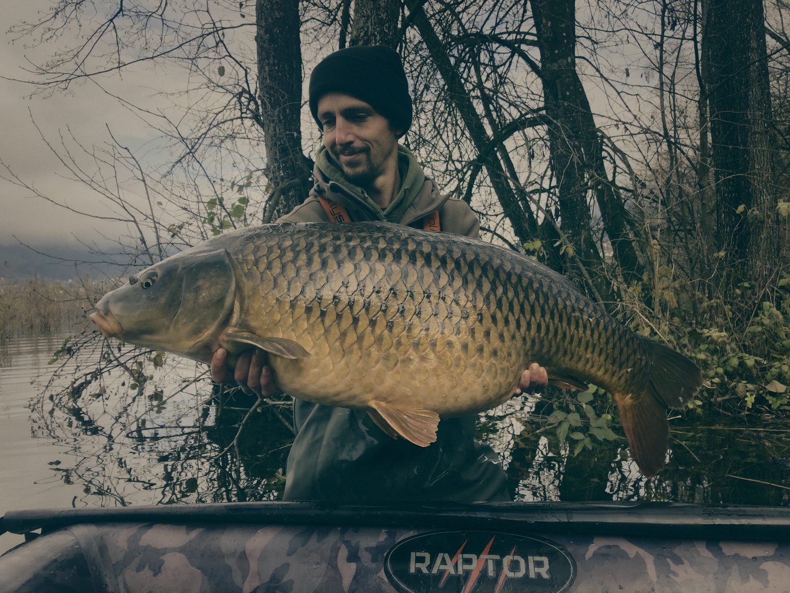 Styria Carp