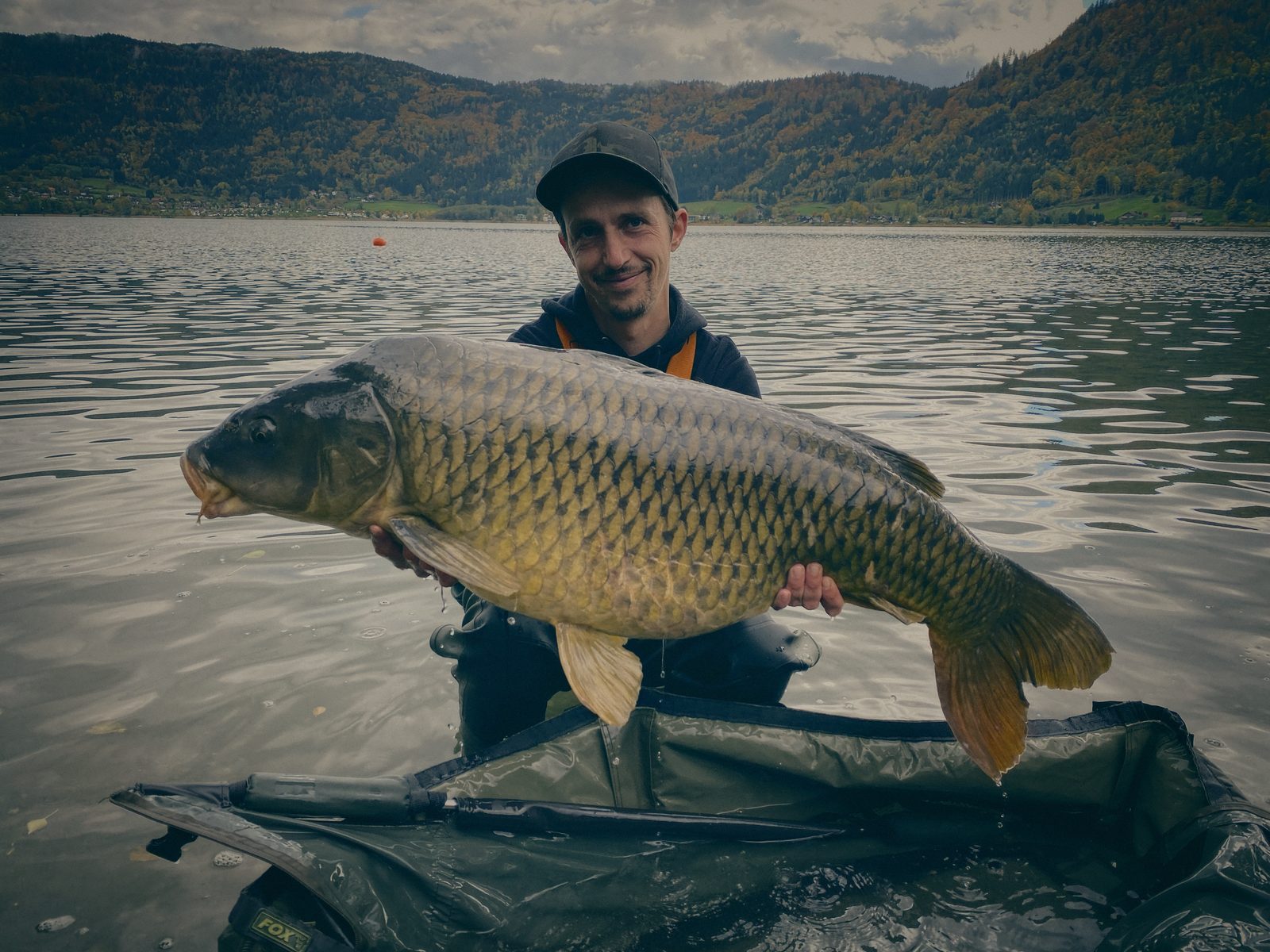 Styria Carp 2025