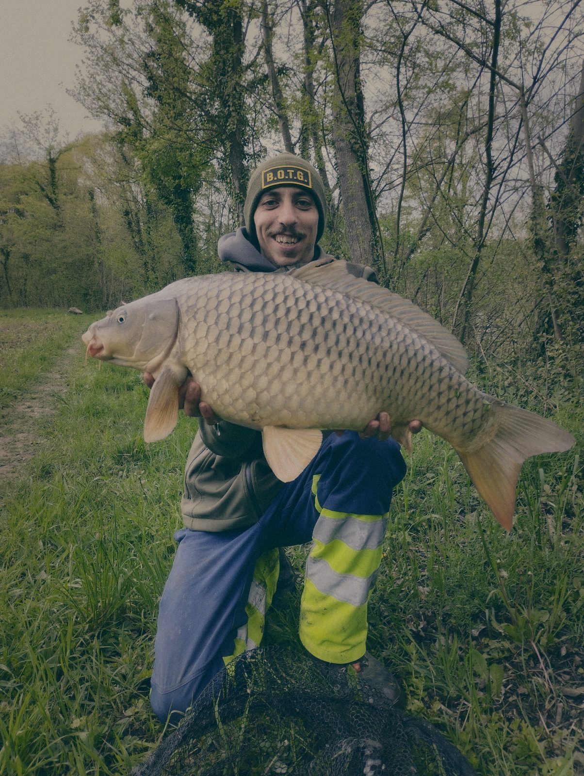 Styria Carp