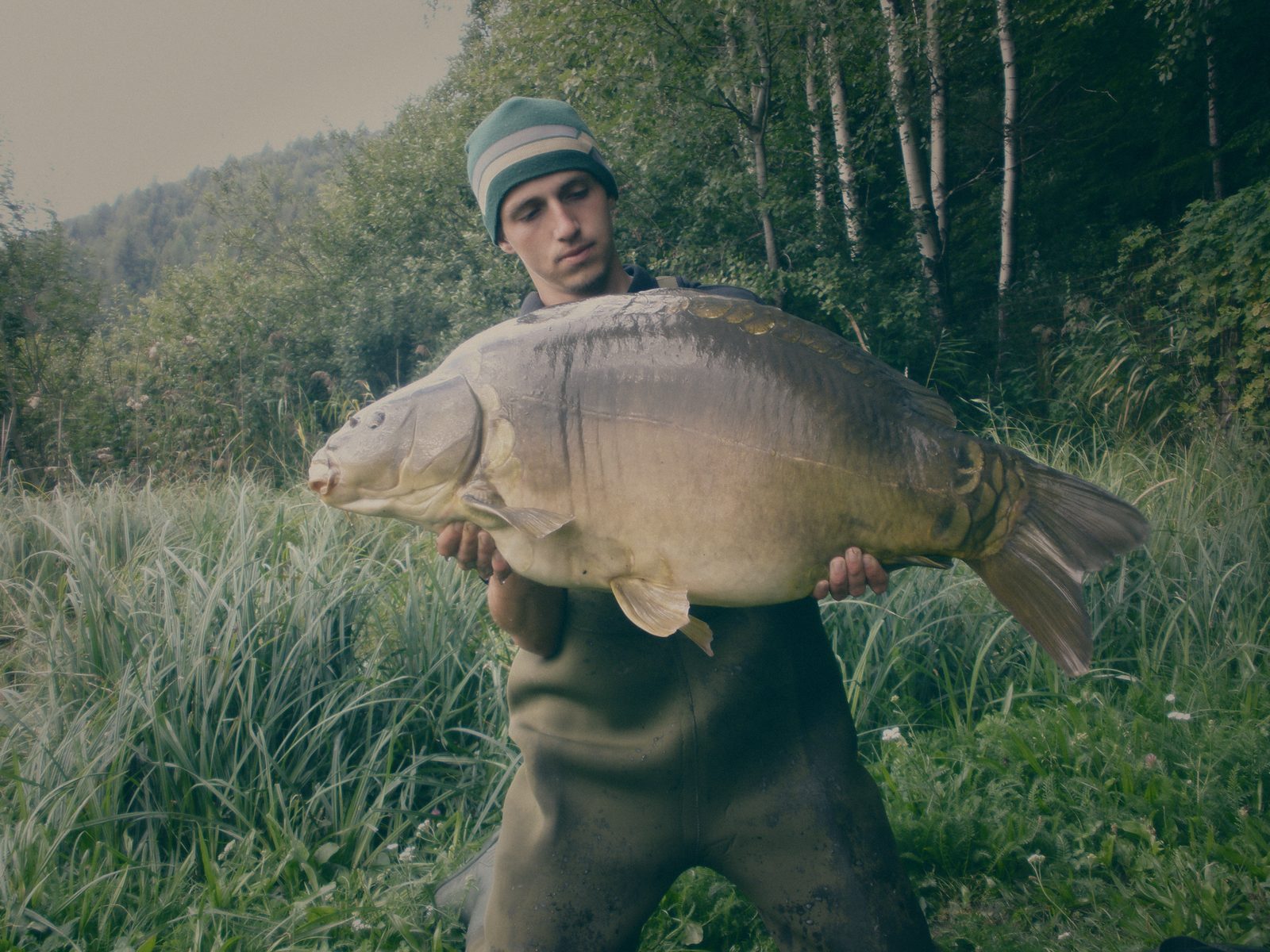 Styria Carp 2008