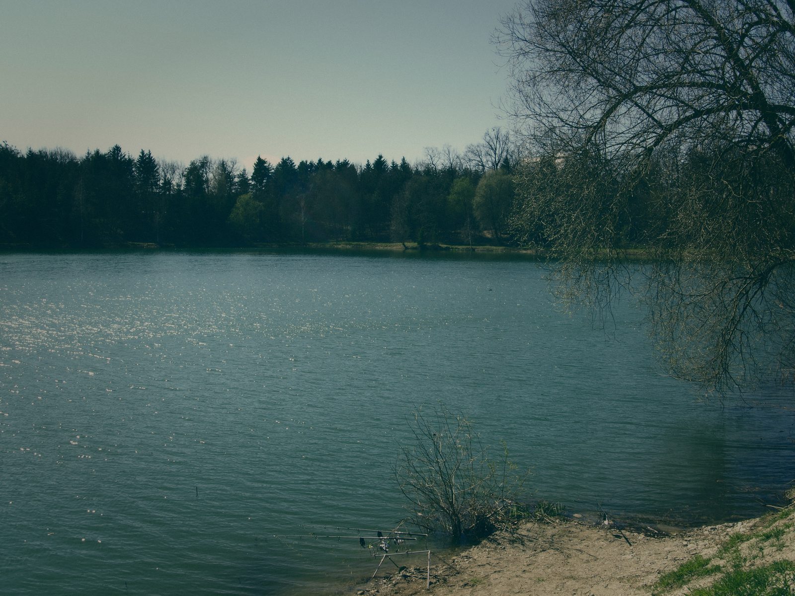 Styria Carp 2008