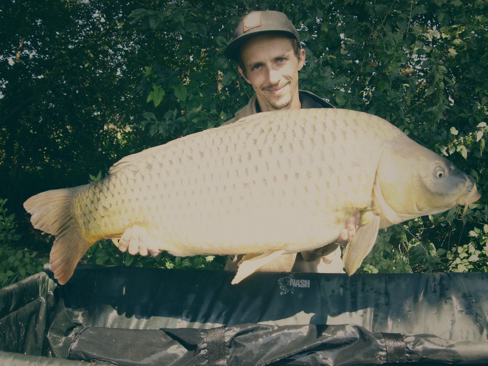 Styria Carp 2008
