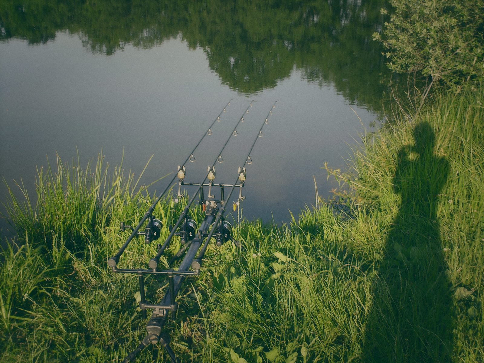 Styria Carp 2006