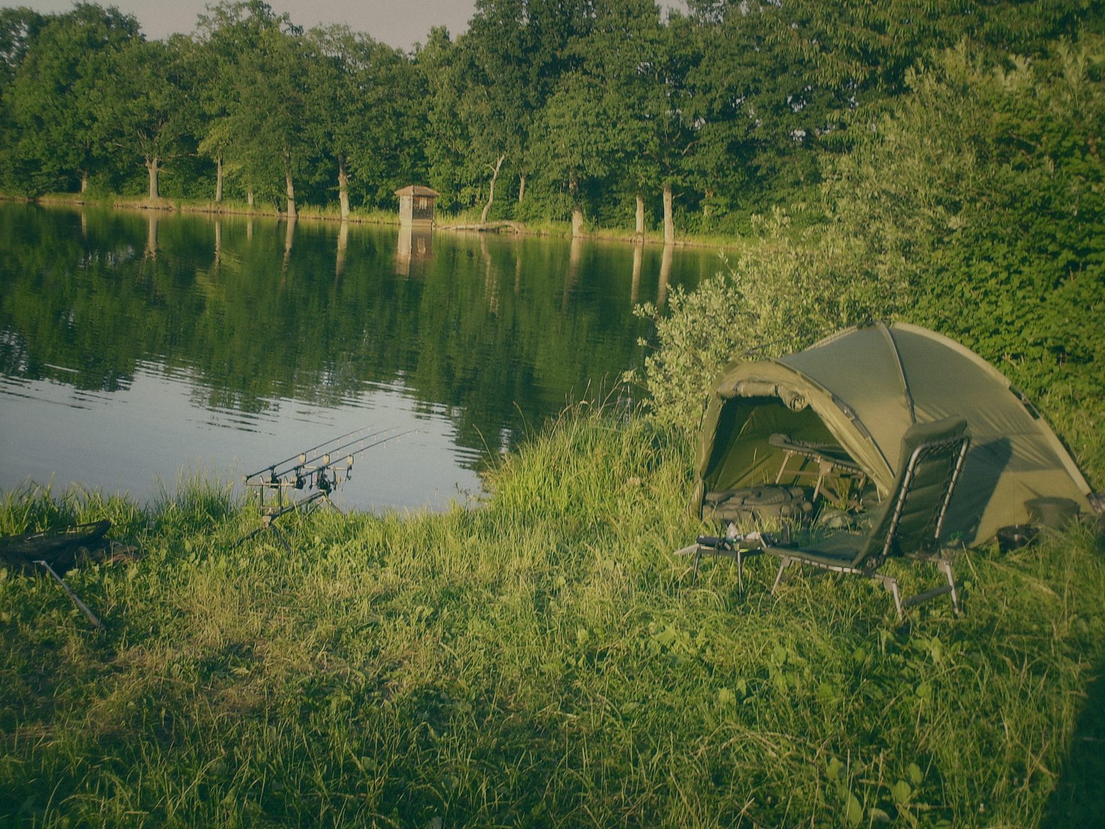 Styria Carp 2006