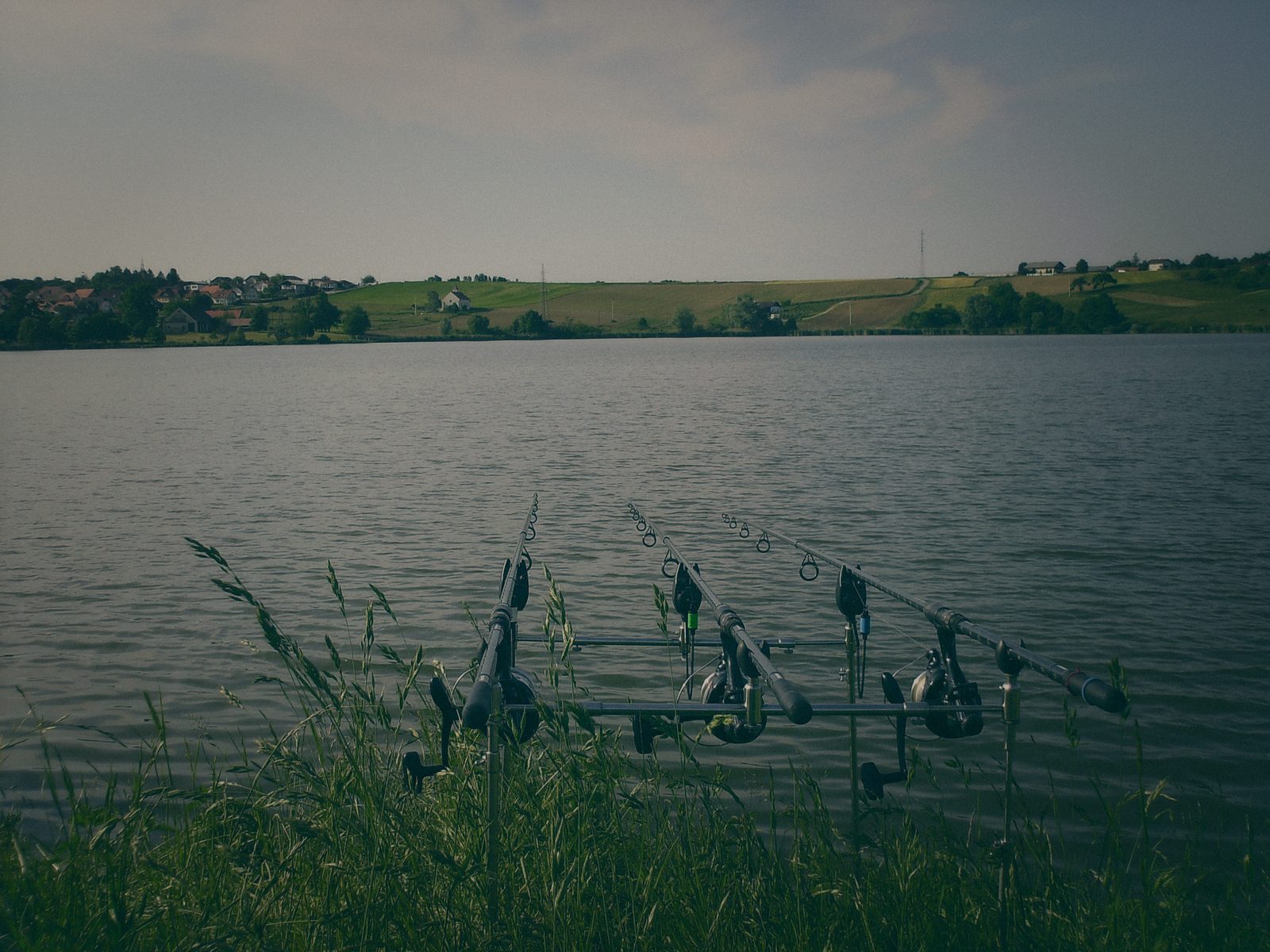 Styria Carp 2007