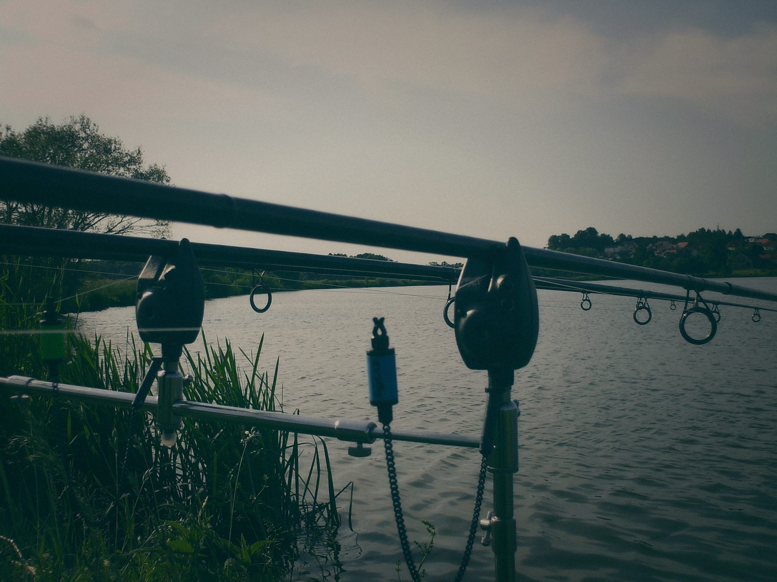 Styria Carp 2007