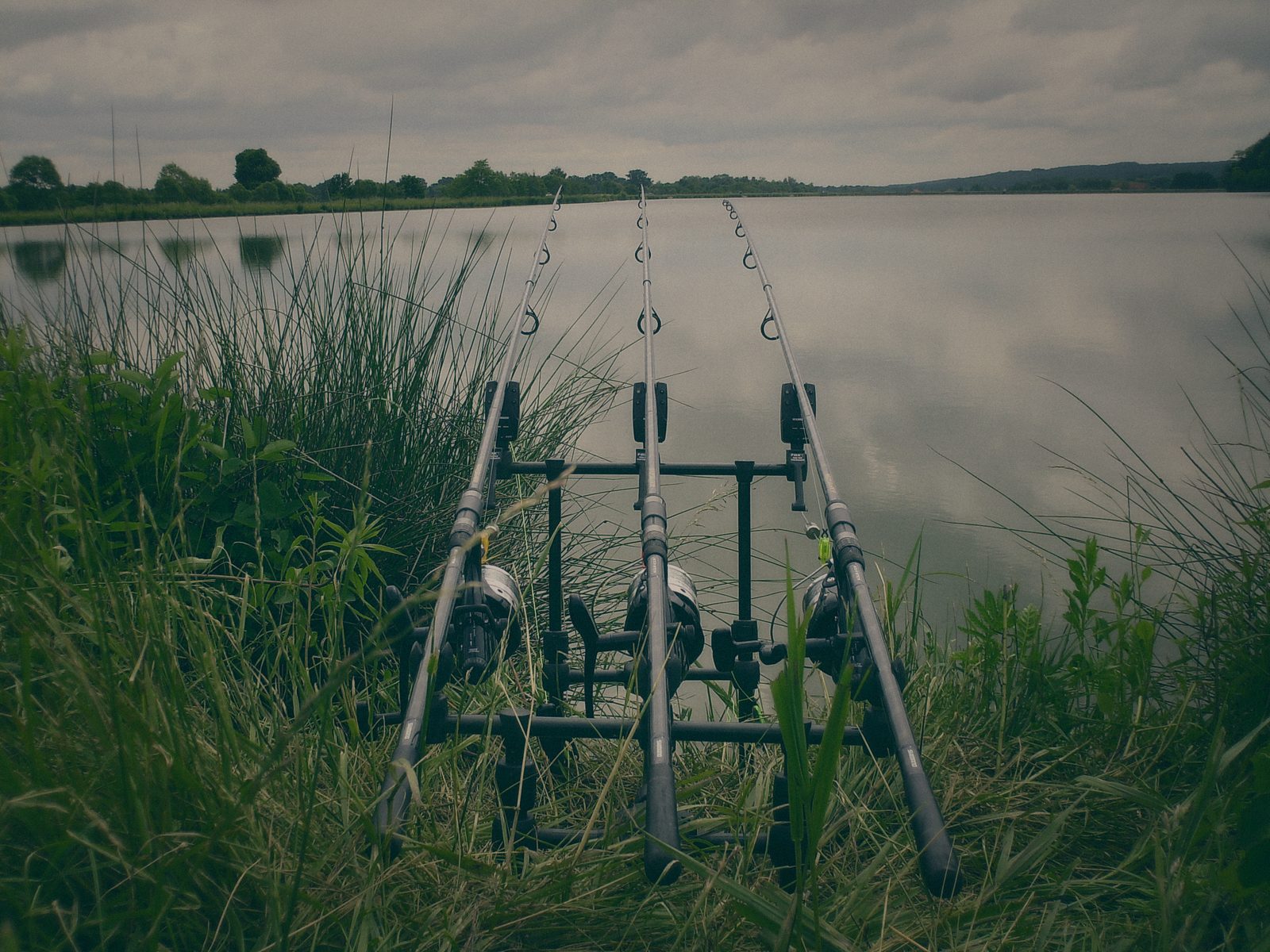 Styria Carp 2006