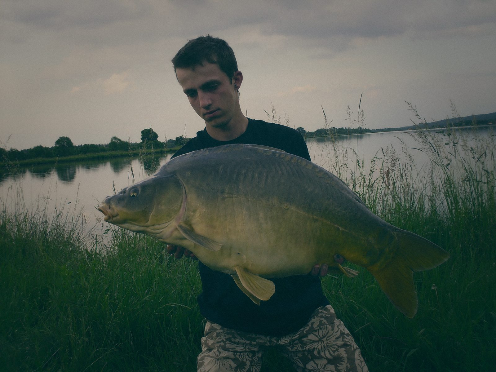 Styria Carp