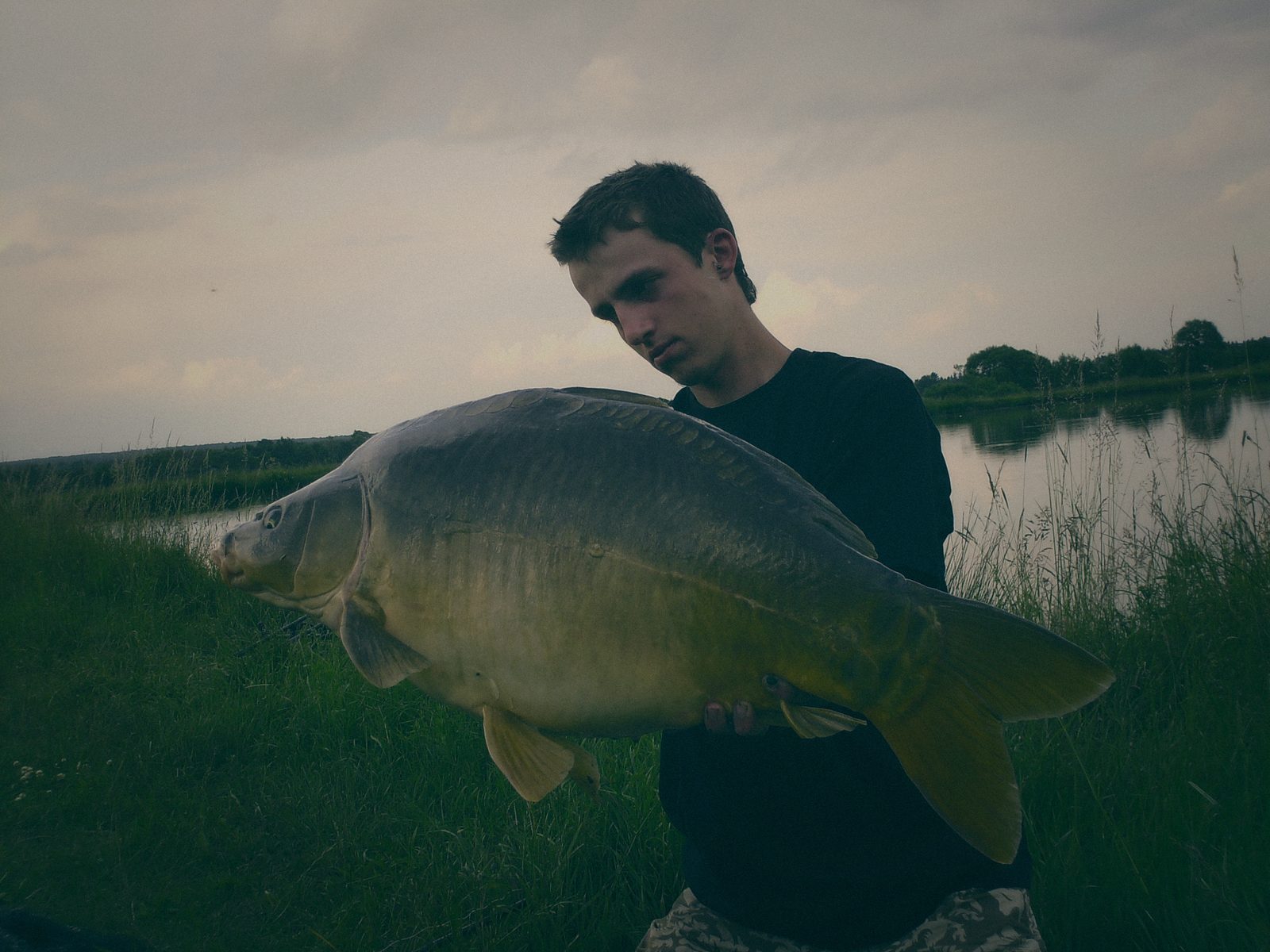 Styria Carp