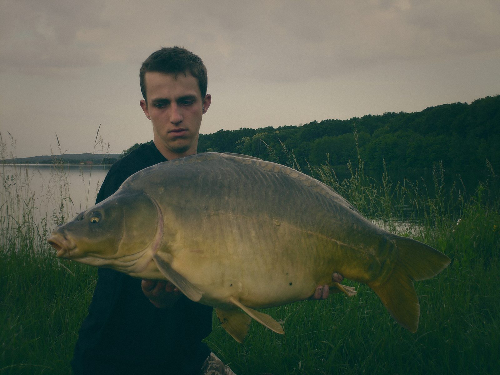 Styria Carp