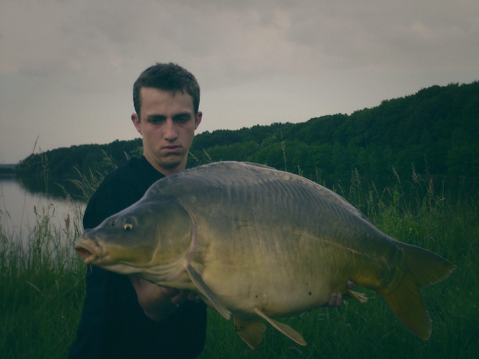 Styria Carp