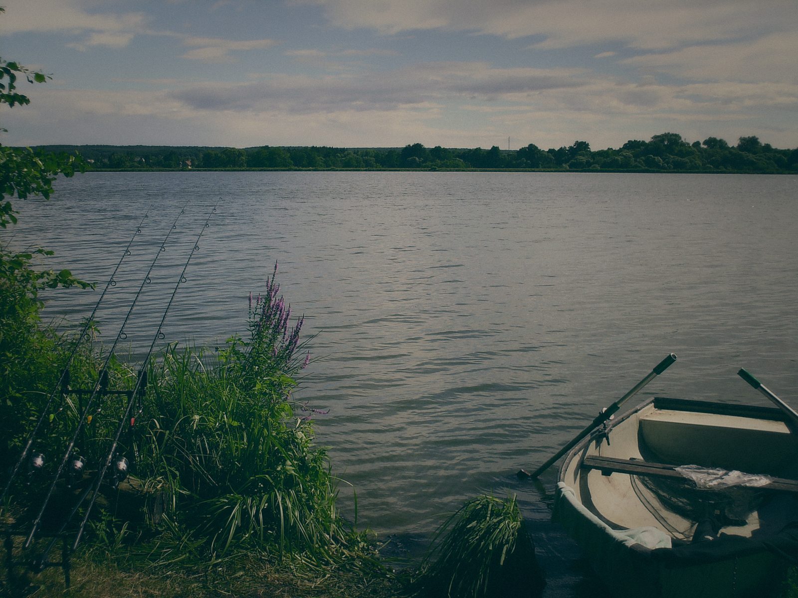 Styria Carp