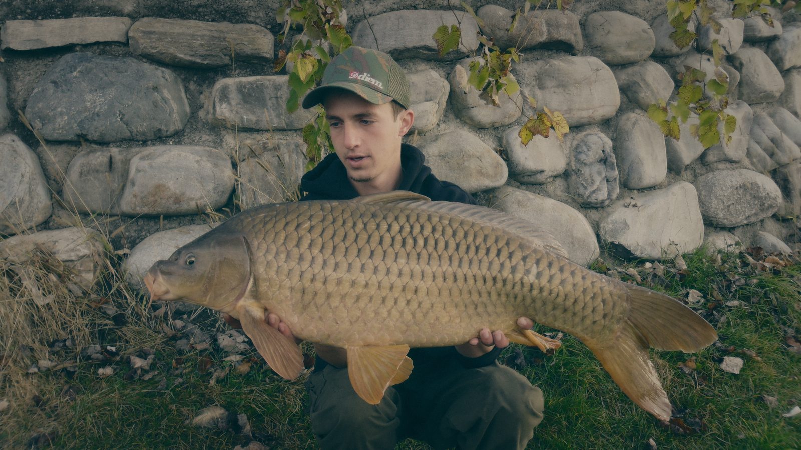 Styria Carp
