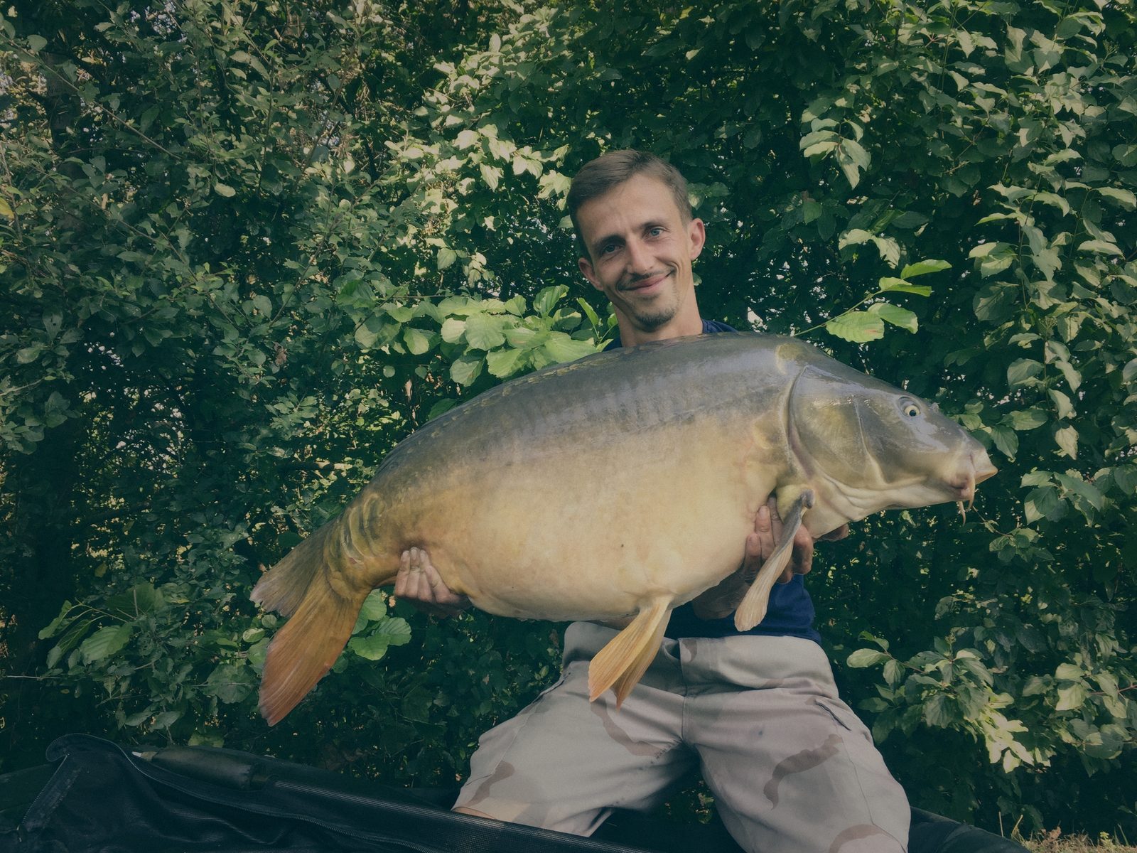 Styria Carp 2016