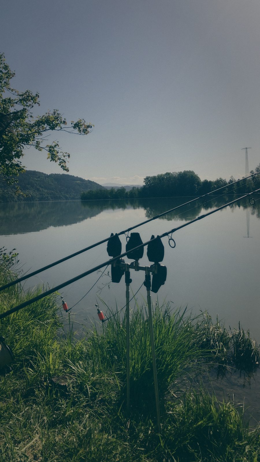 Styria Carp 2020
