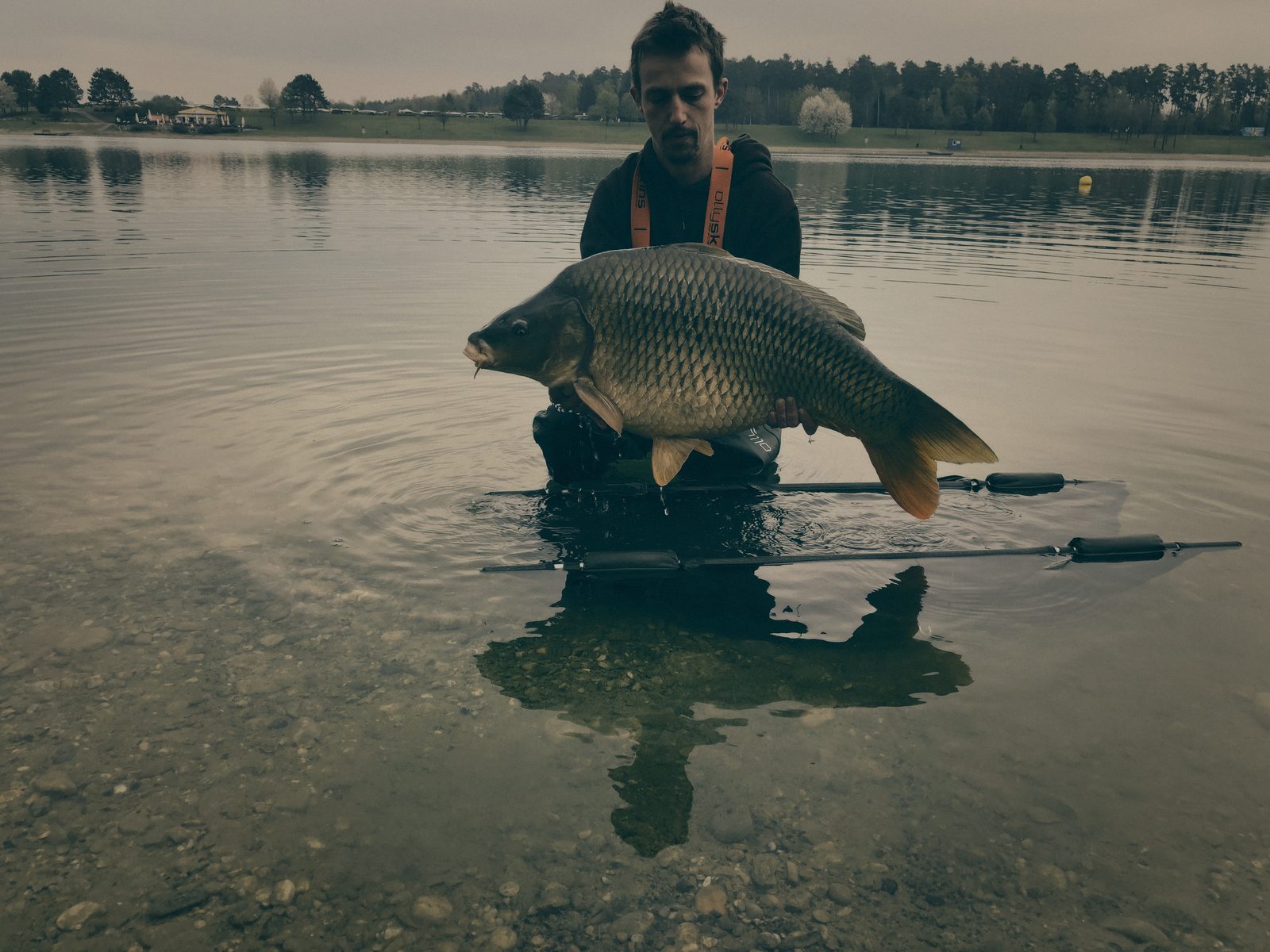 Styria Carp 2019