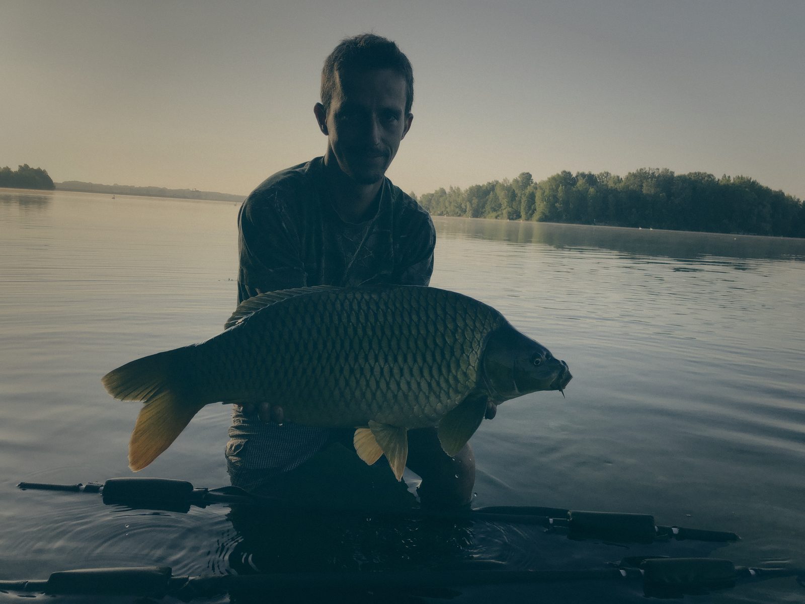 Styria Carp 2019