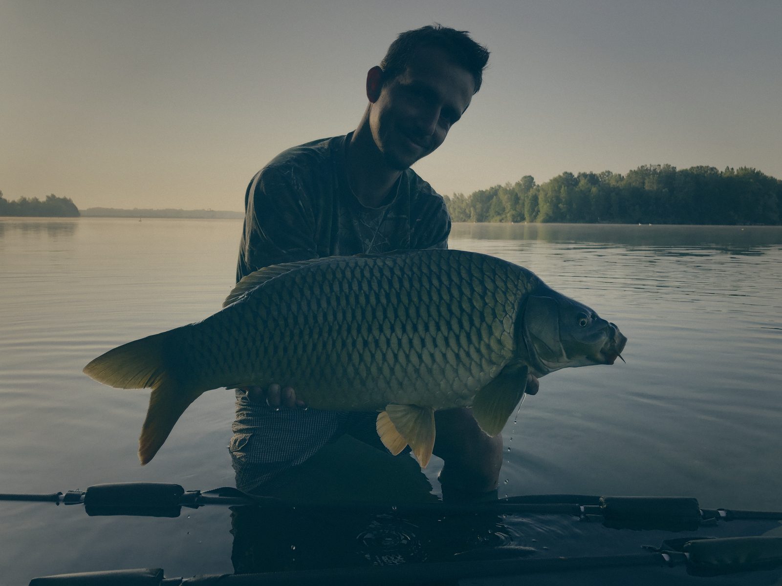 Styria Carp 2019