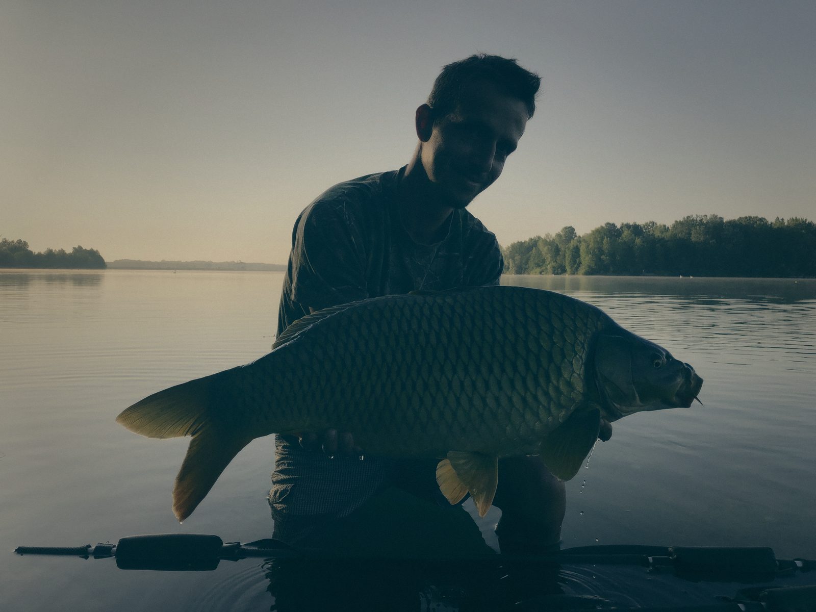 Styria Carp 2019
