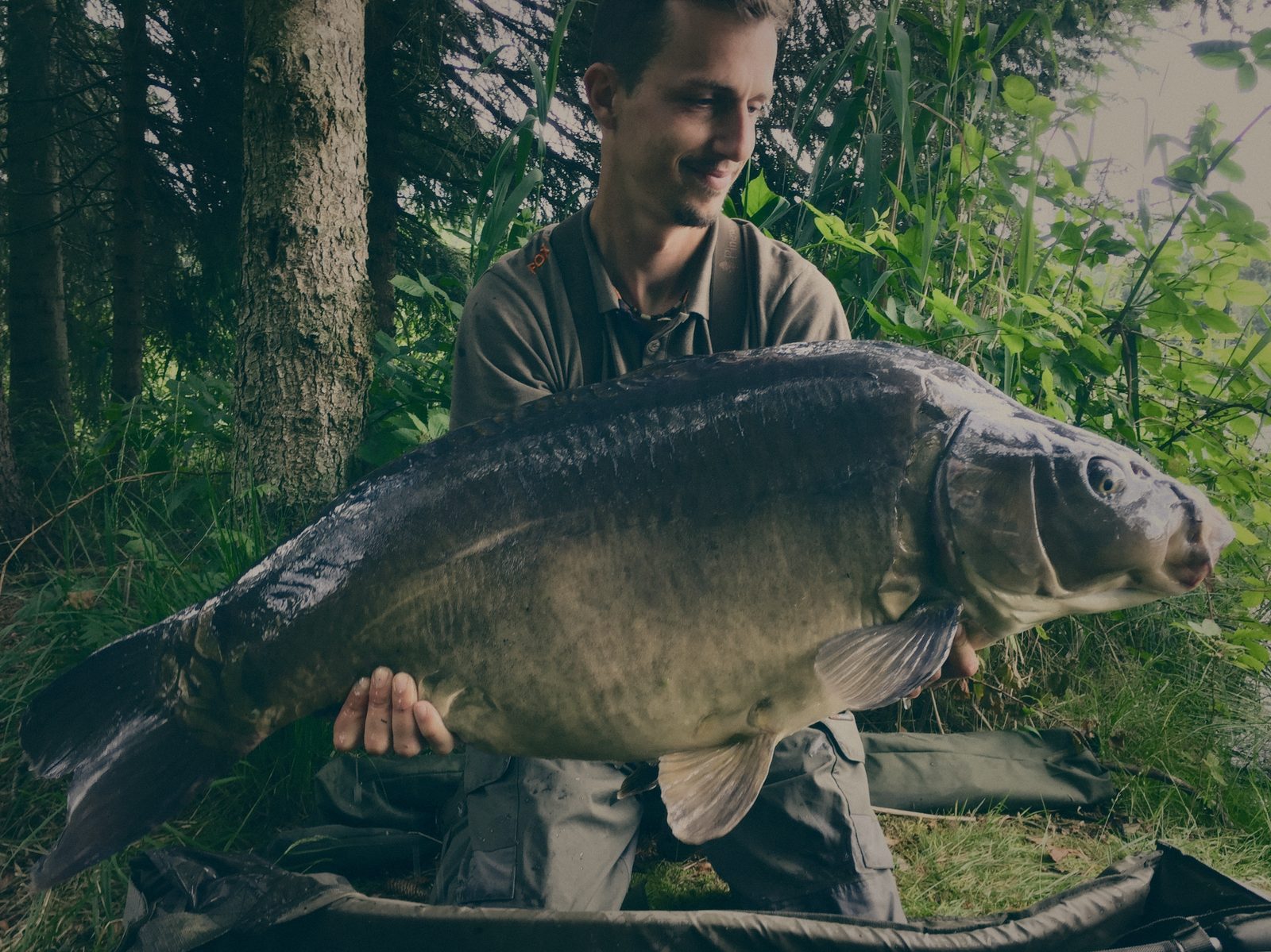 Styria Carp 2018