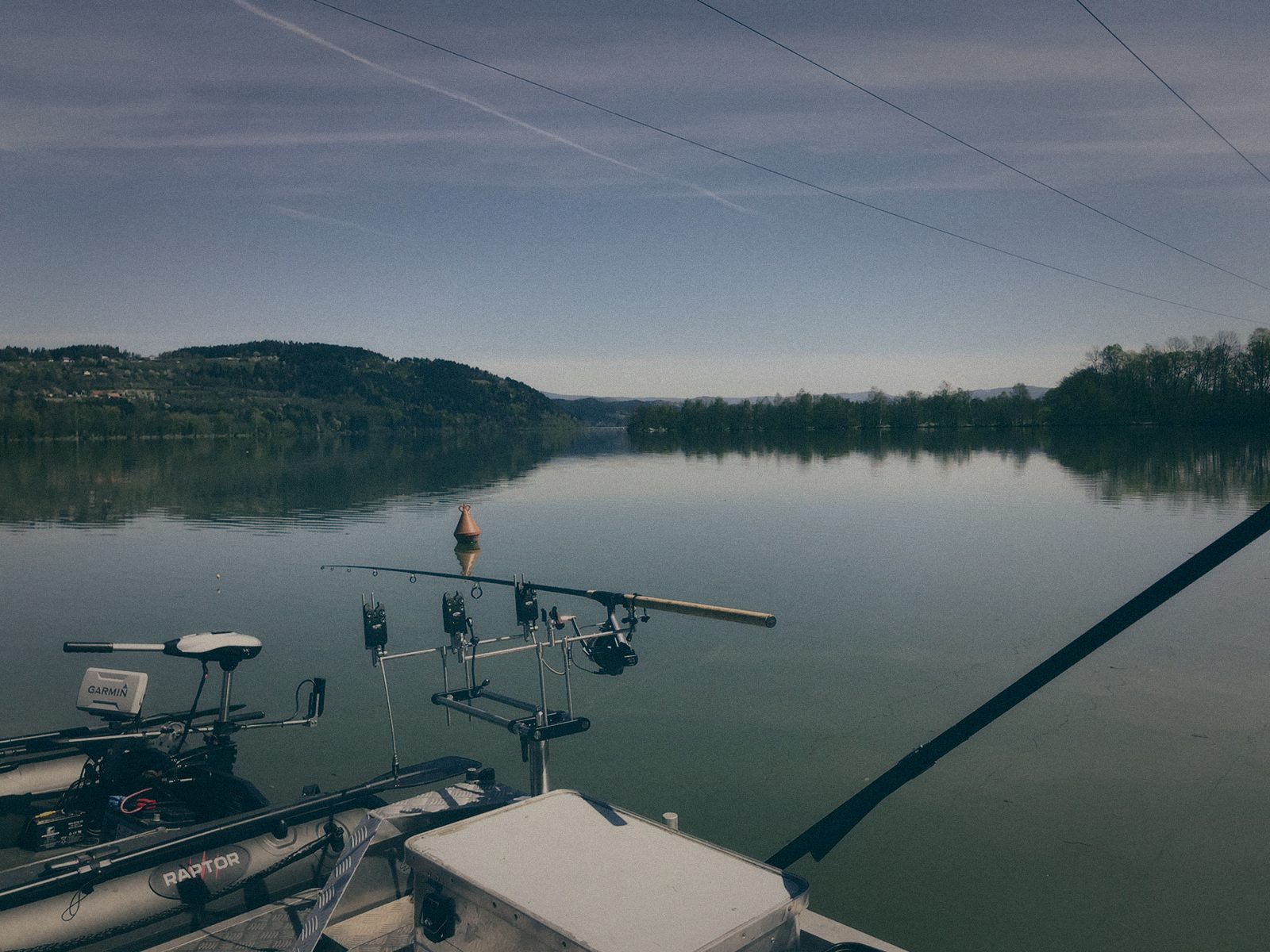 Styria Carp 2020