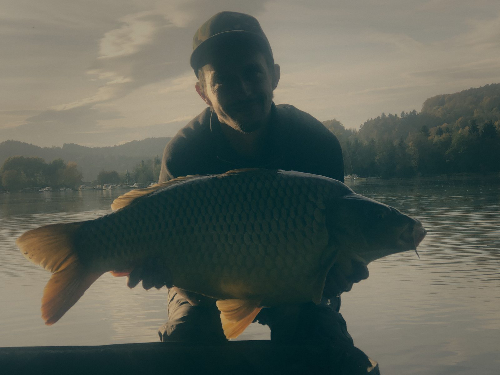 Styria Carp 2020