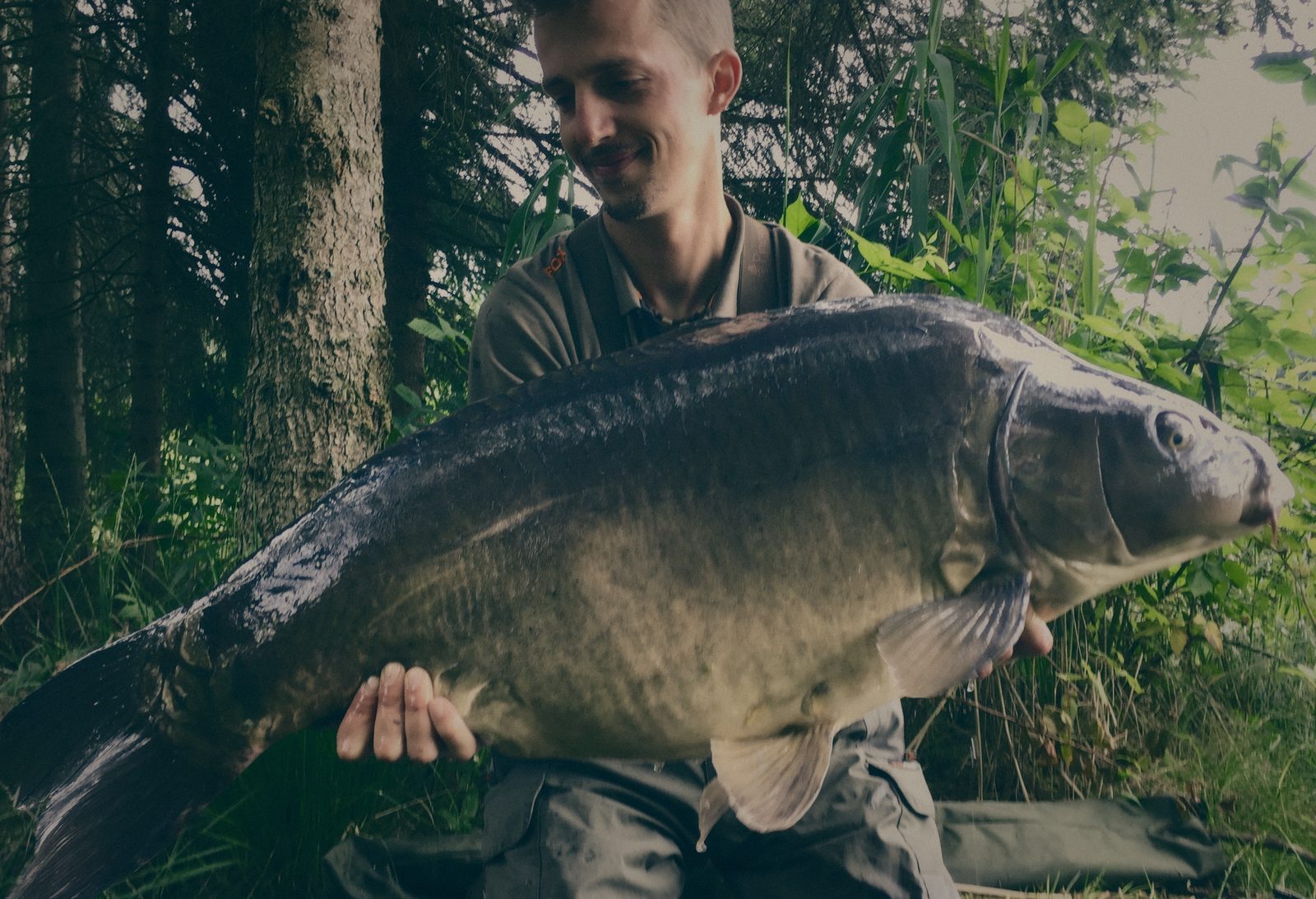 Styria Carp 2018