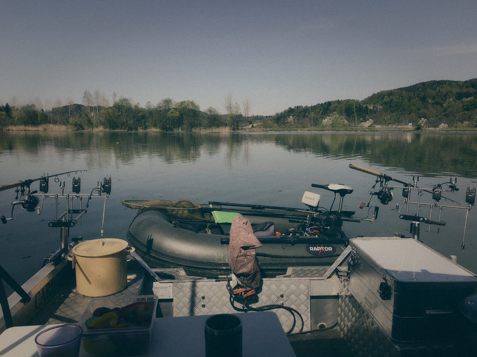 Styria Carp
