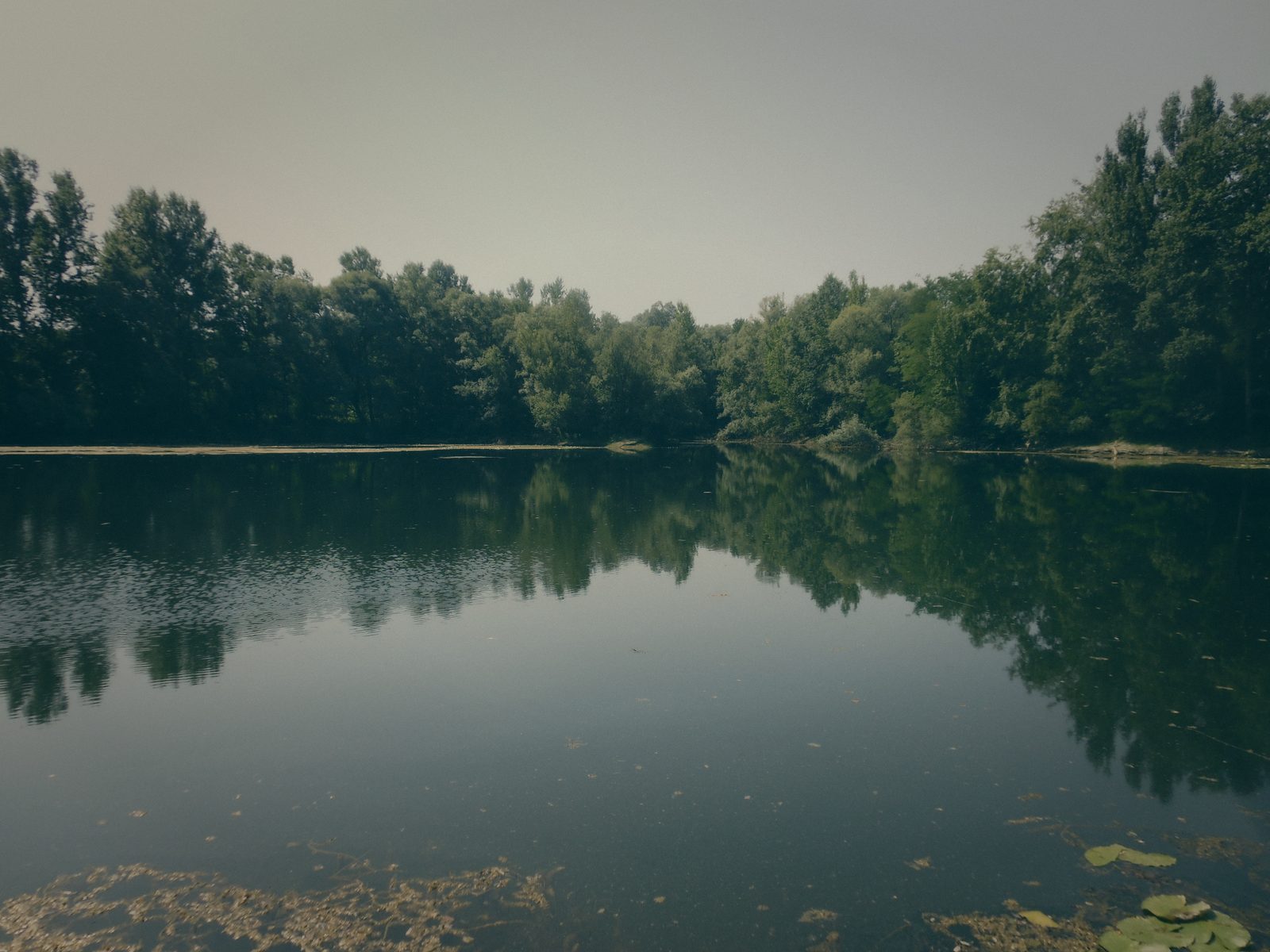 Styria Carp 2013