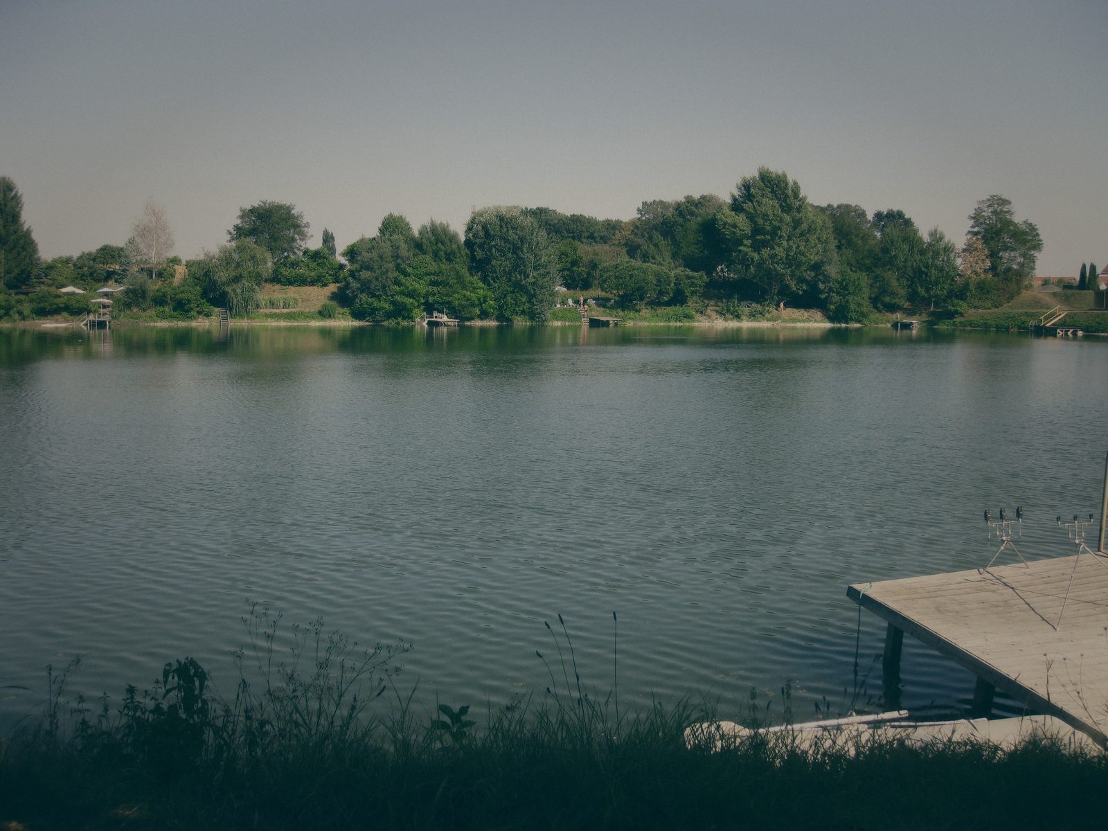 Styria Carp 2013