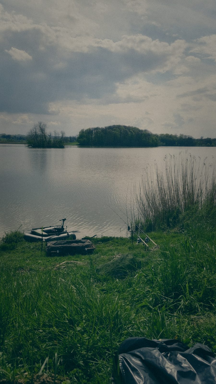 Styria Carp