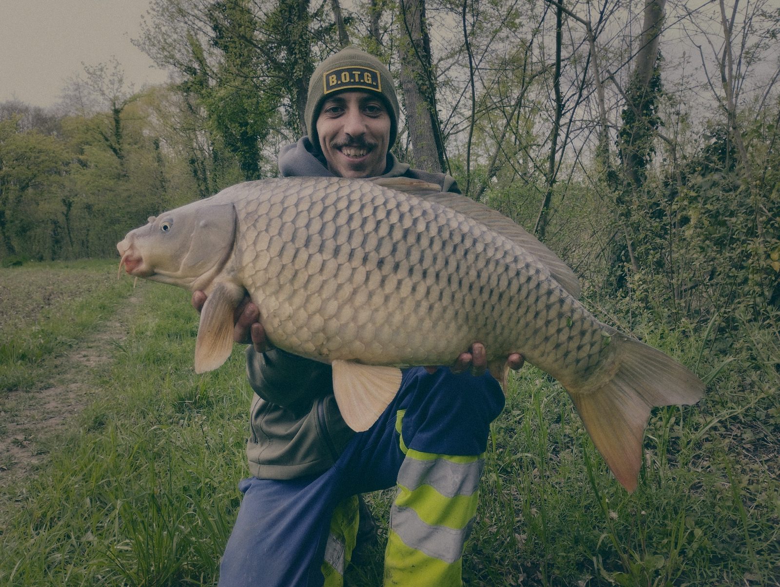 Styria Carp