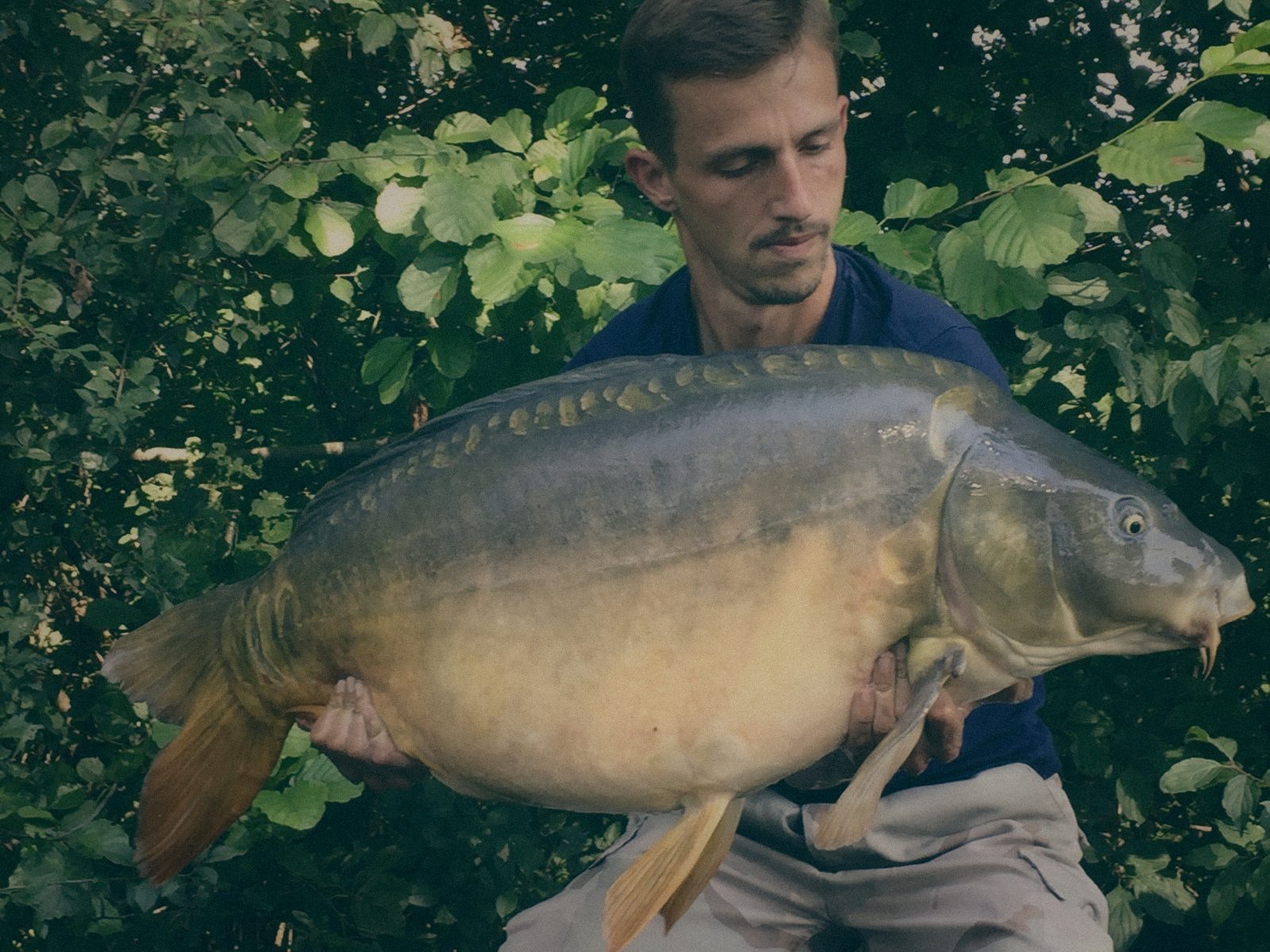 Styria Carp 2016