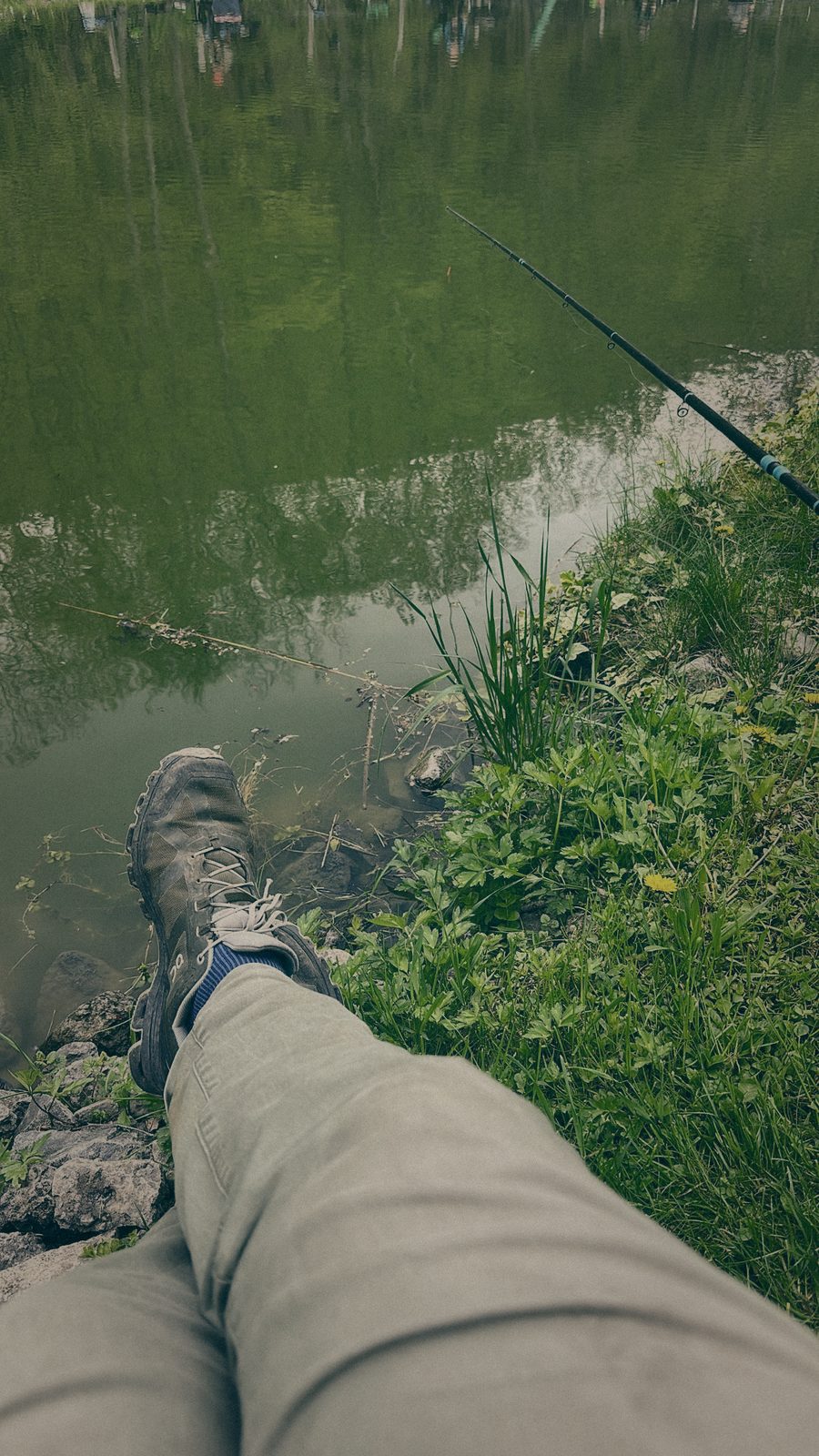 Styria Carp
